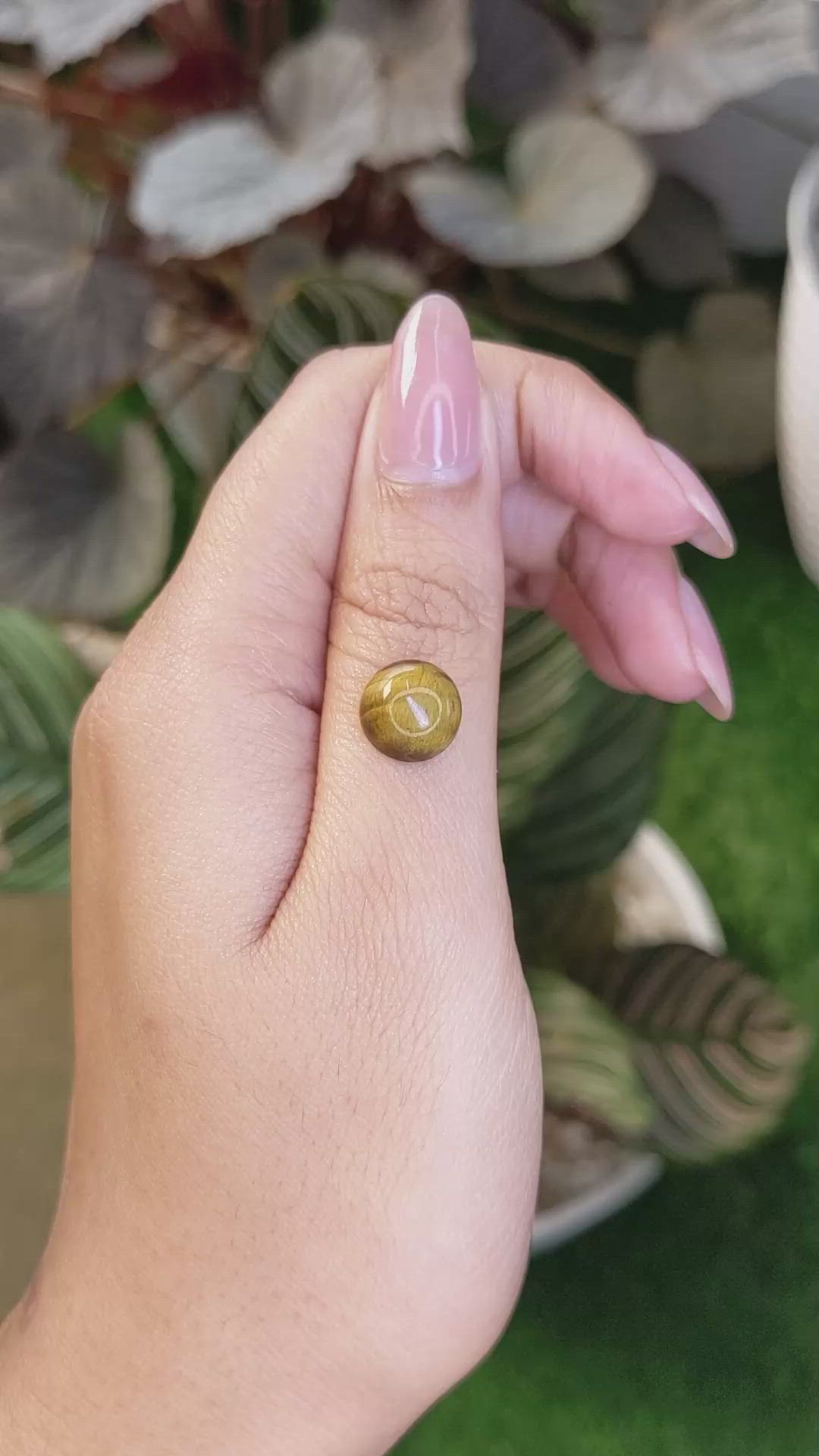 4.26 Ct. Cabochon Tiger's Eye from Ceylon (Sri Lanka) Size Video