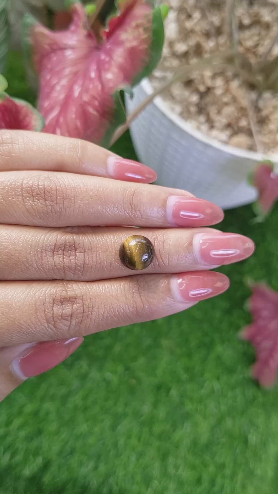 4.76 Ct. Cabochon Tiger's Eye from Ceylon (Sri Lanka) Size Video