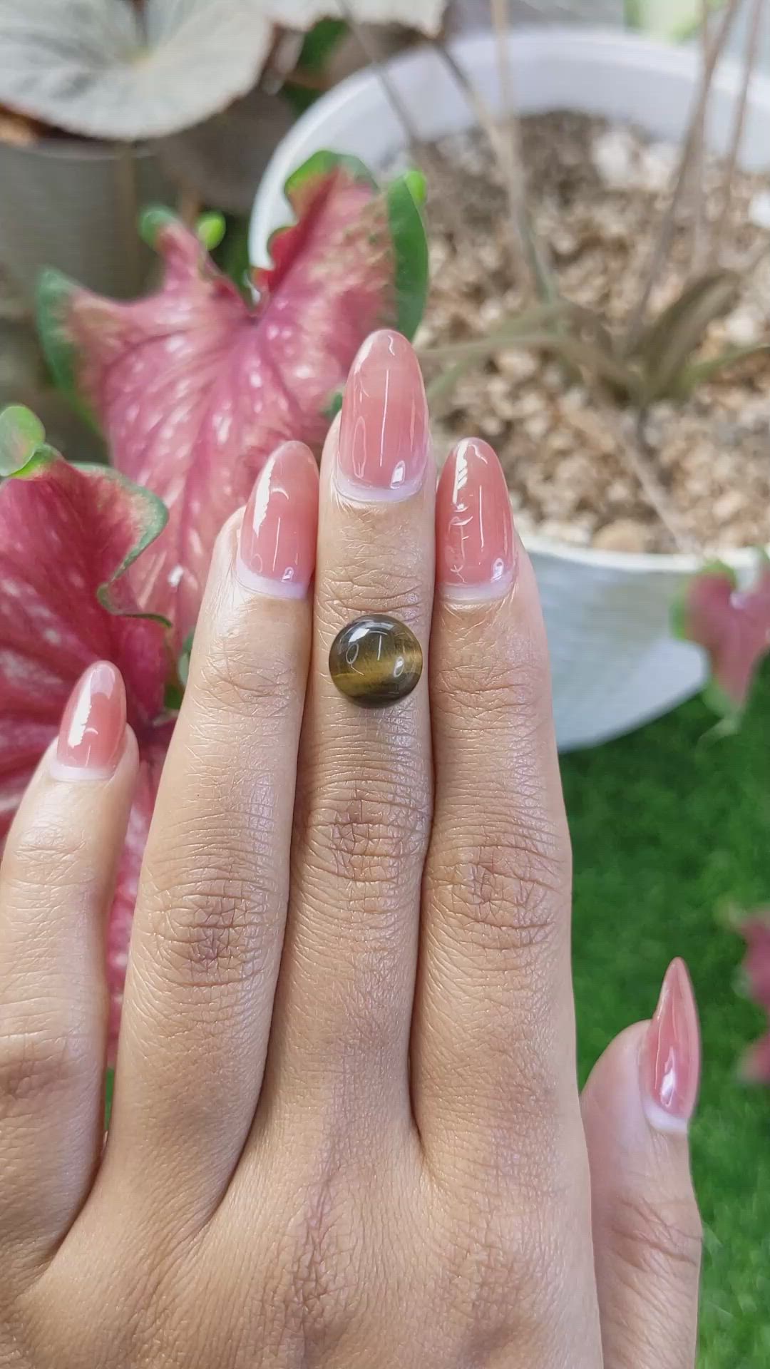 4.76 Ct. Cabochon Tiger's Eye from Ceylon (Sri Lanka) Size Video