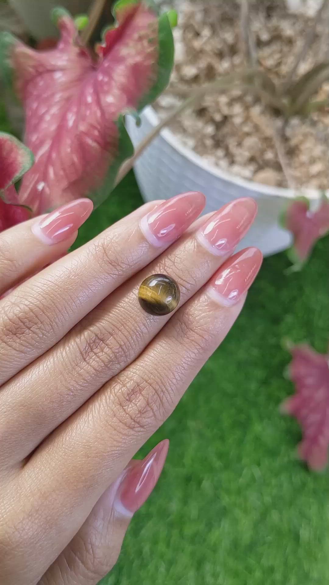 4.76 Ct. Cabochon Tiger's Eye from Ceylon (Sri Lanka) Size Video