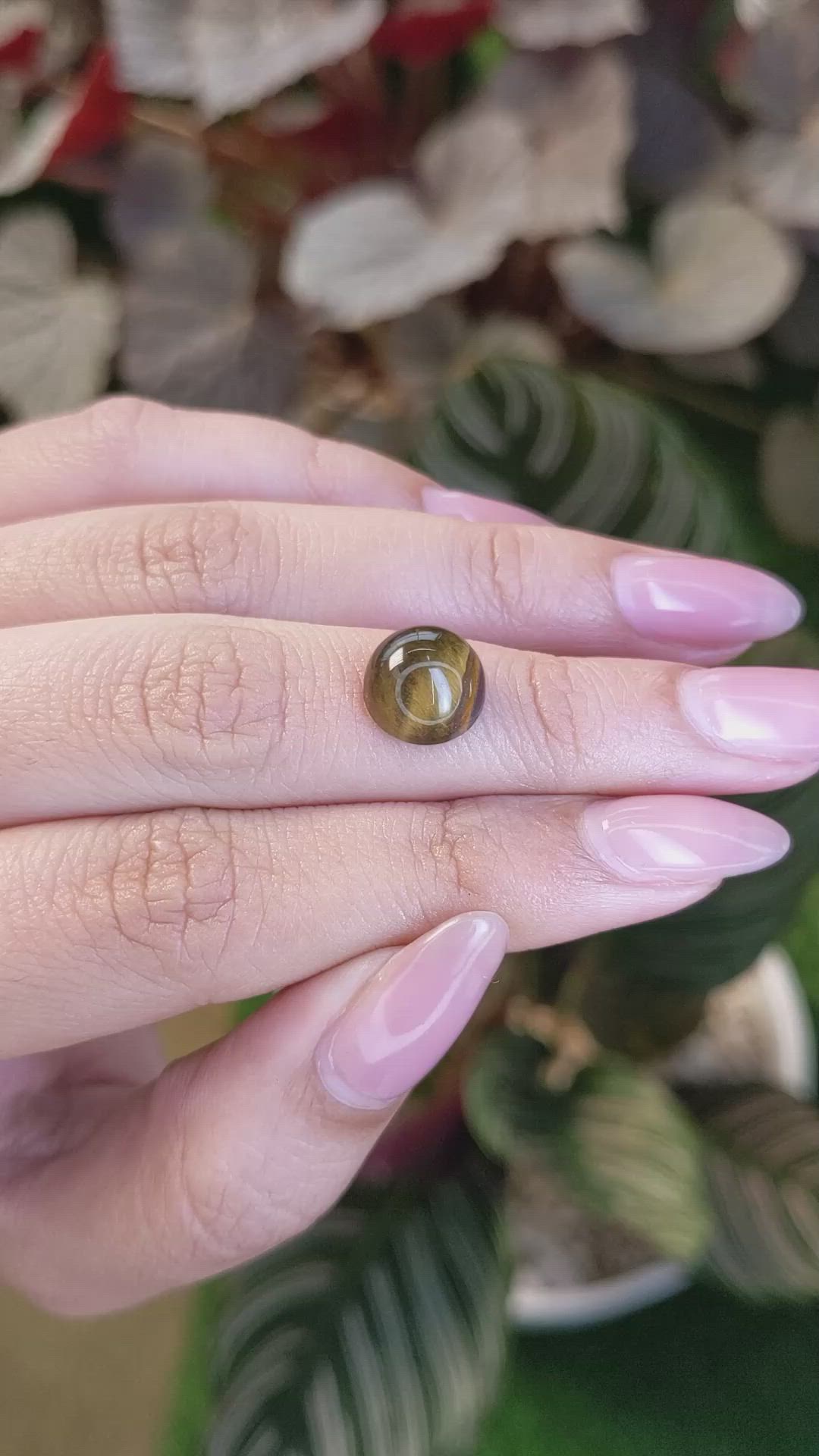 4.28 Ct. Cabochon Tiger's Eye from Ceylon (Sri Lanka) Size Video