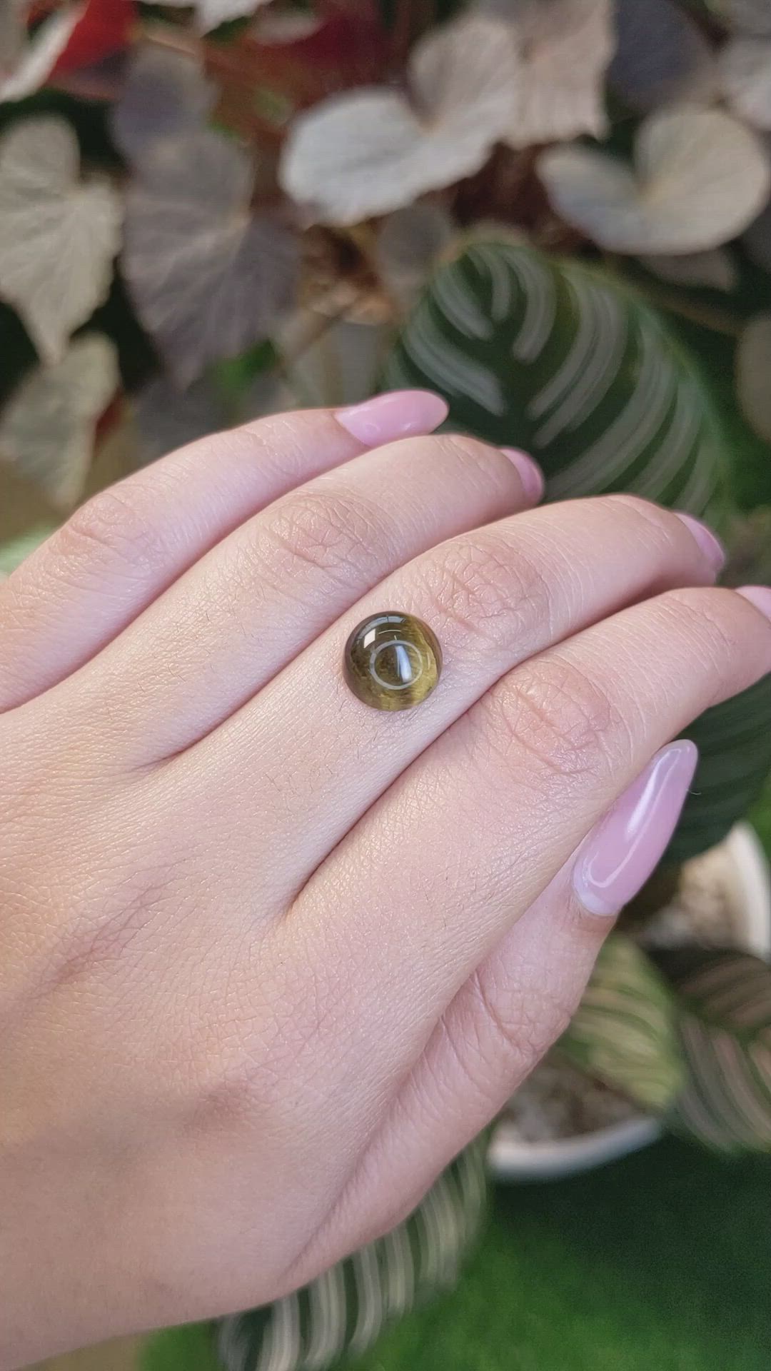 4.28 Ct. Cabochon Tiger's Eye from Ceylon (Sri Lanka) Size Video