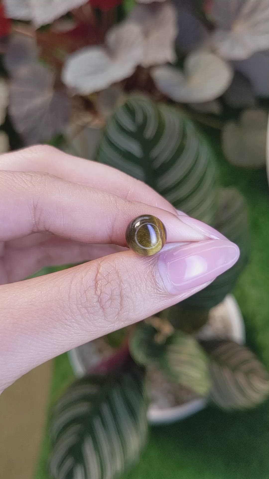4.28 Ct. Cabochon Tiger's Eye from Ceylon (Sri Lanka) Size Video