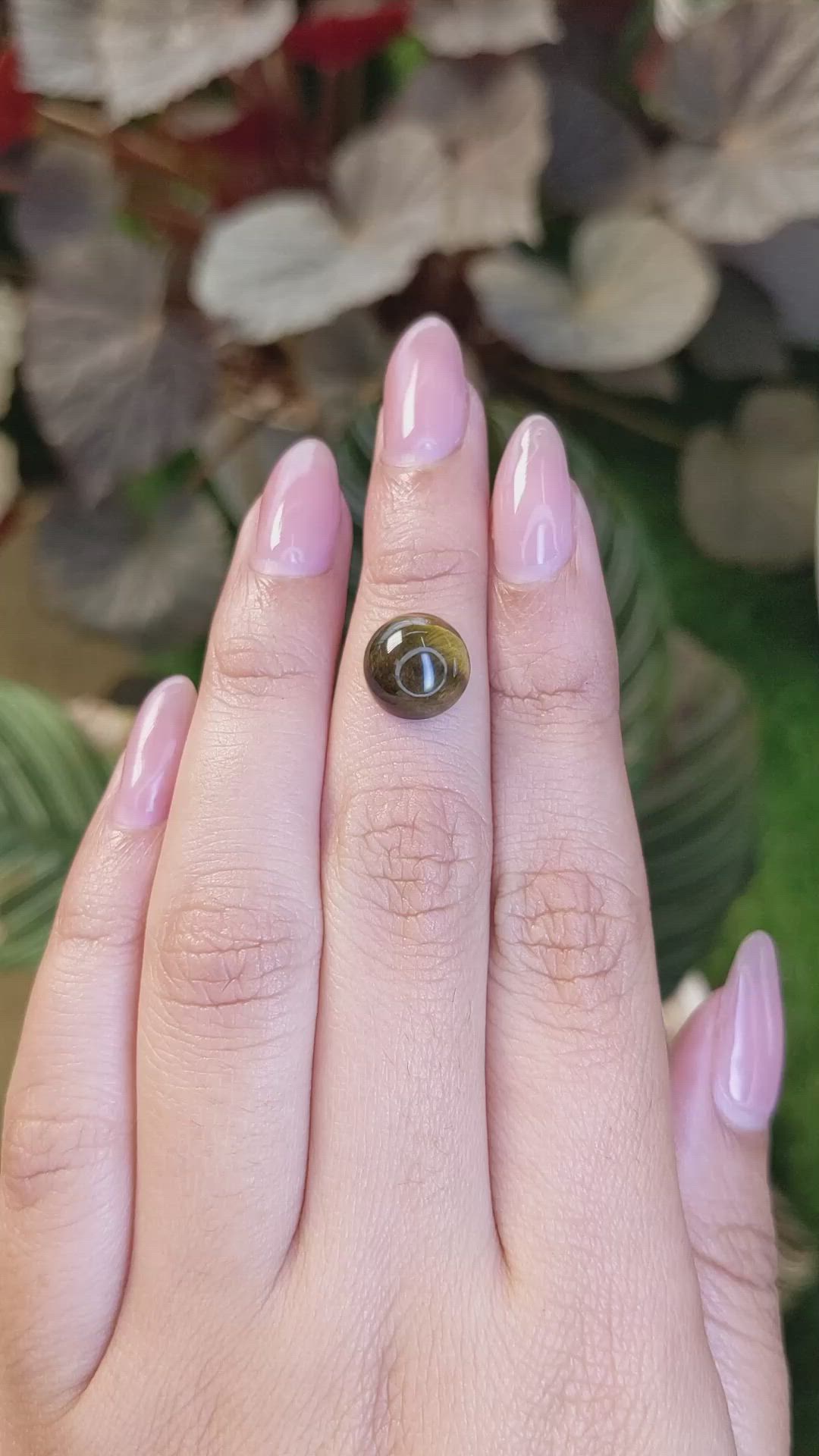 4.28 Ct. Cabochon Tiger's Eye from Ceylon (Sri Lanka) Size Video