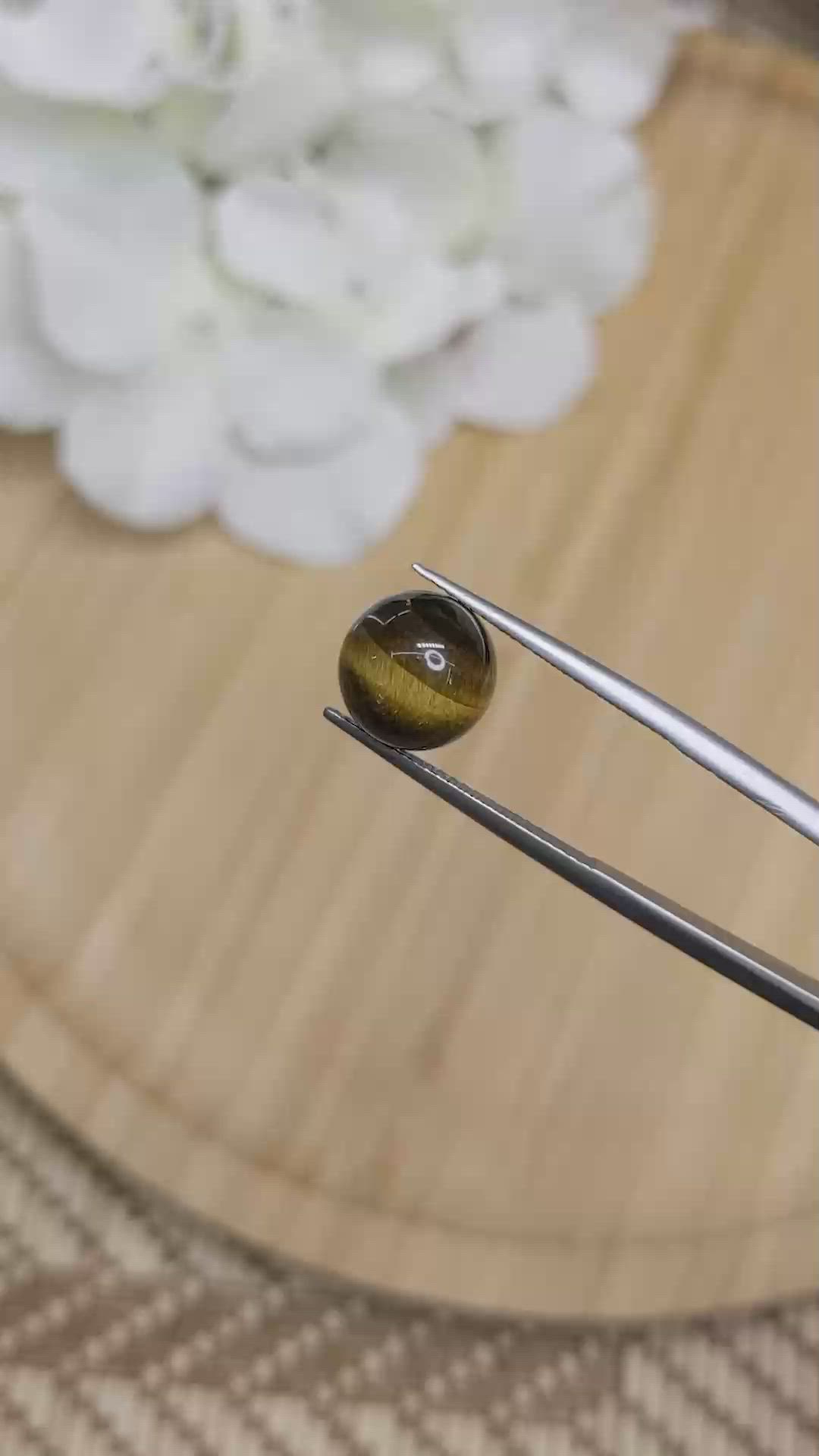 4.56 Ct. Cabochon Tiger's Eye from Ceylon (Sri Lanka) Size Video