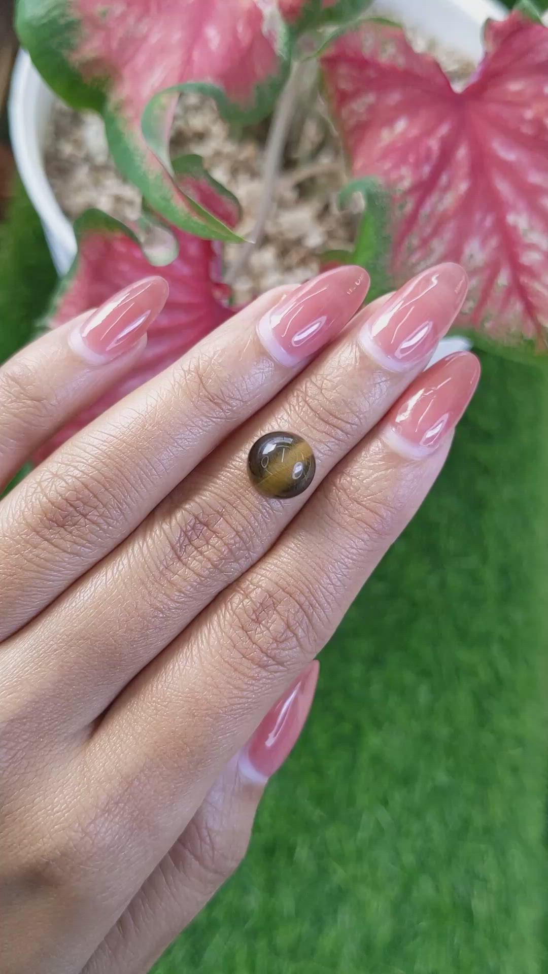 4.56 Ct. Cabochon Tiger's Eye from Ceylon (Sri Lanka) Size Video