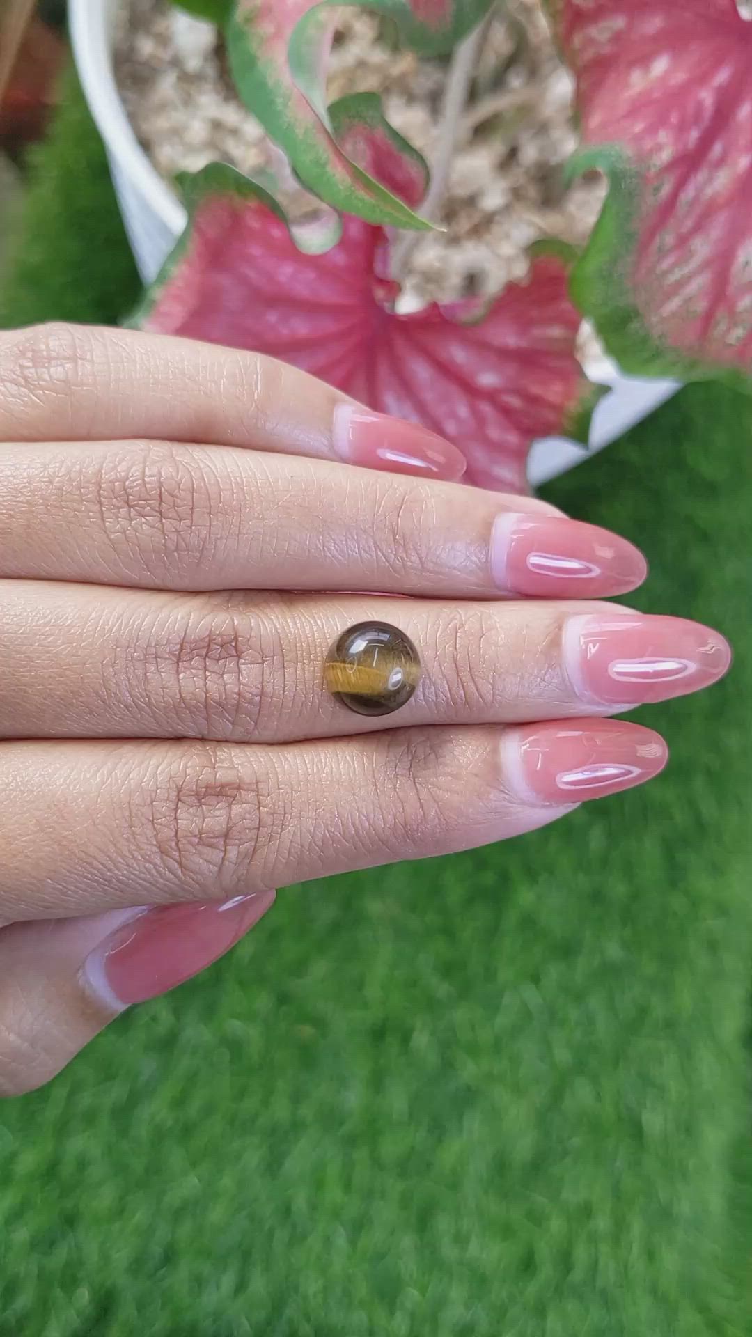 4.56 Ct. Cabochon Tiger's Eye from Ceylon (Sri Lanka) Size Video