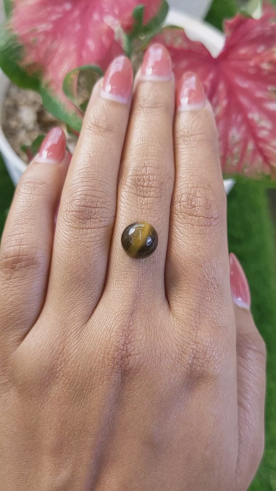 4.56 Ct. Cabochon Tiger's Eye from Ceylon (Sri Lanka) Size Video