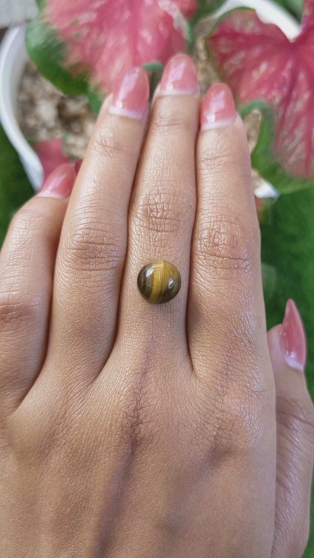 4.41 Ct. Cabochon Tiger's Eye from Ceylon (Sri Lanka) Size Video
