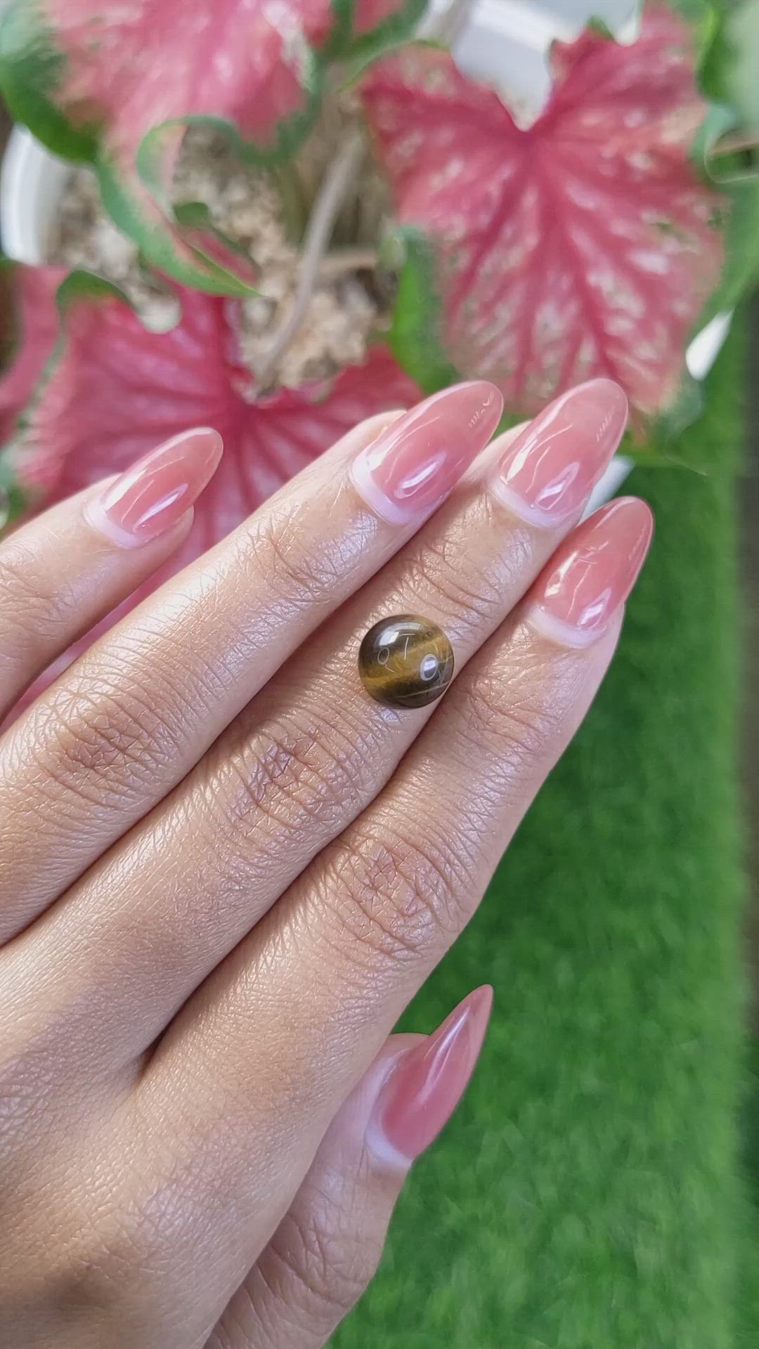 4.14 Ct. Cabochon Tiger's Eye from Ceylon (Sri Lanka) Size Video