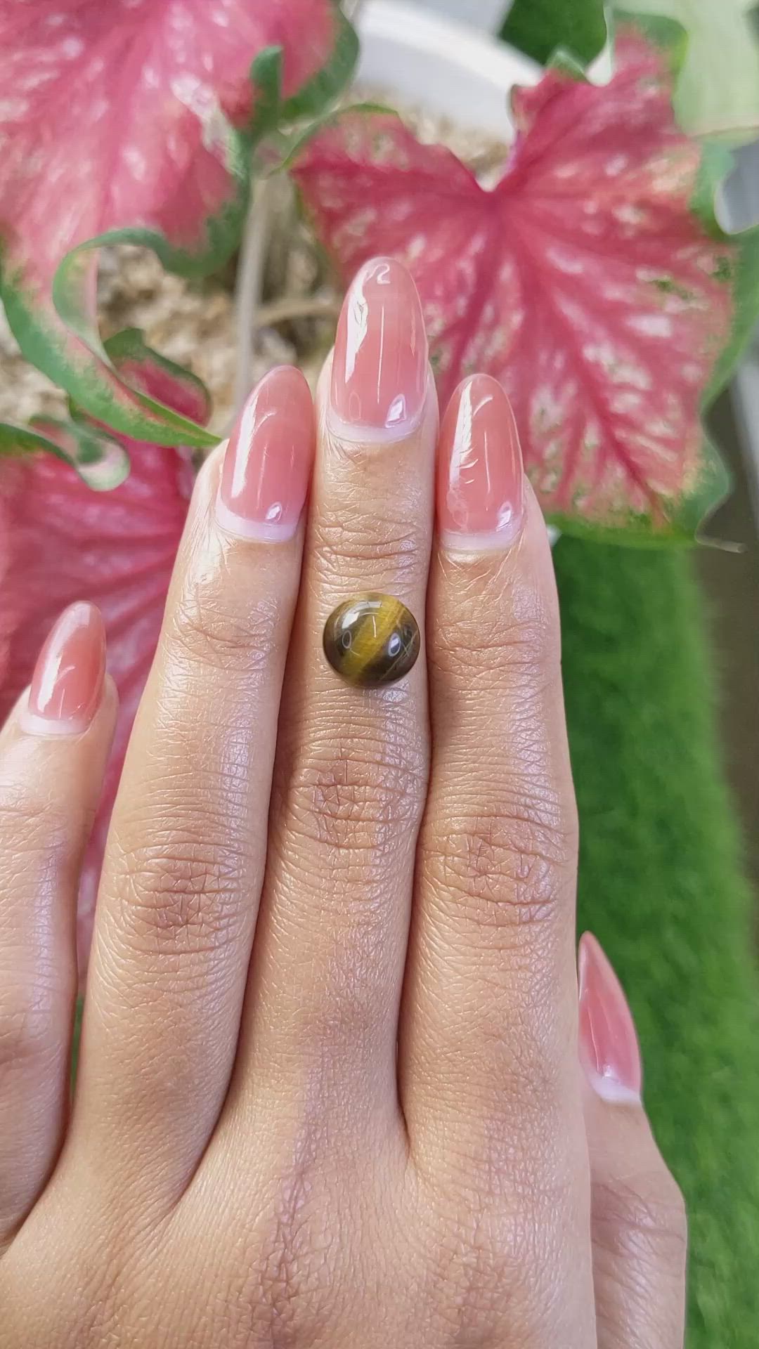 4.14 Ct. Cabochon Tiger's Eye from Ceylon (Sri Lanka) Size Video