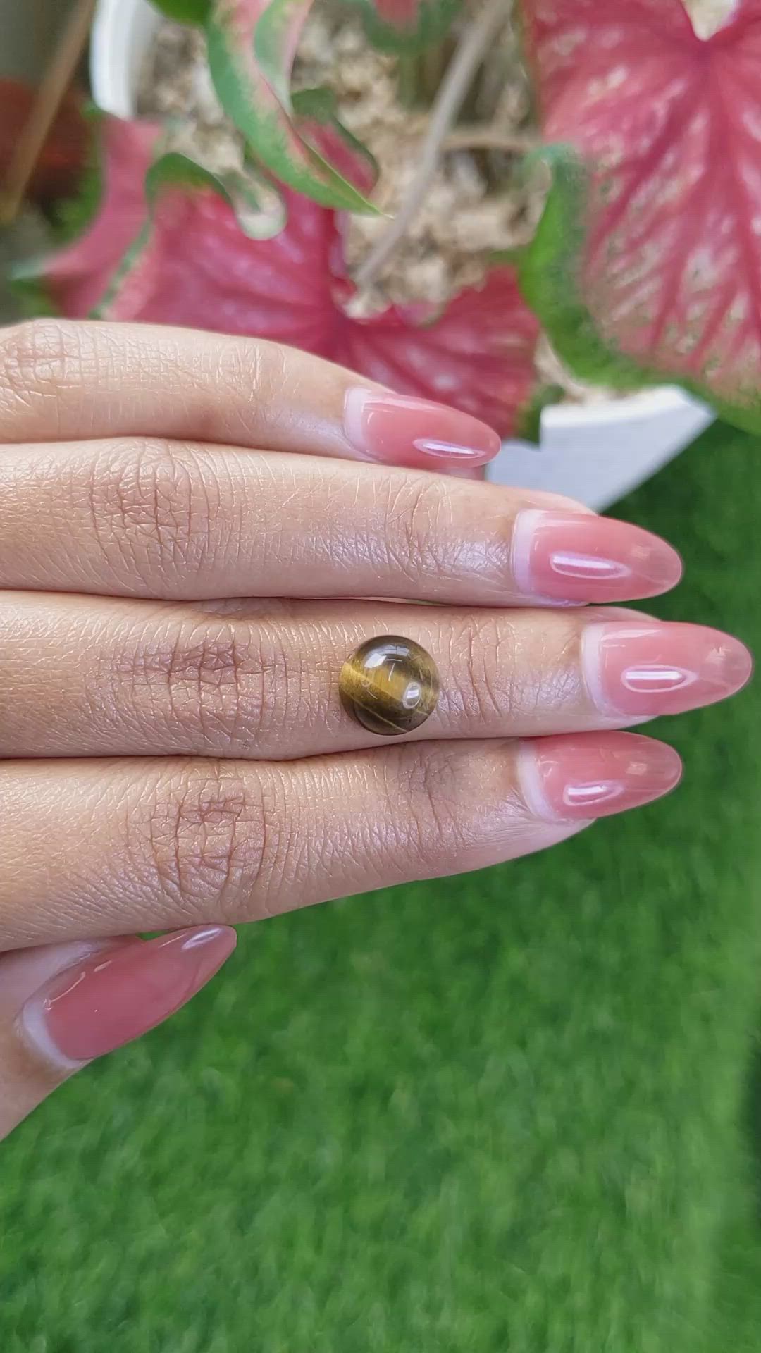 4.14 Ct. Cabochon Tiger's Eye from Ceylon (Sri Lanka) Size Video