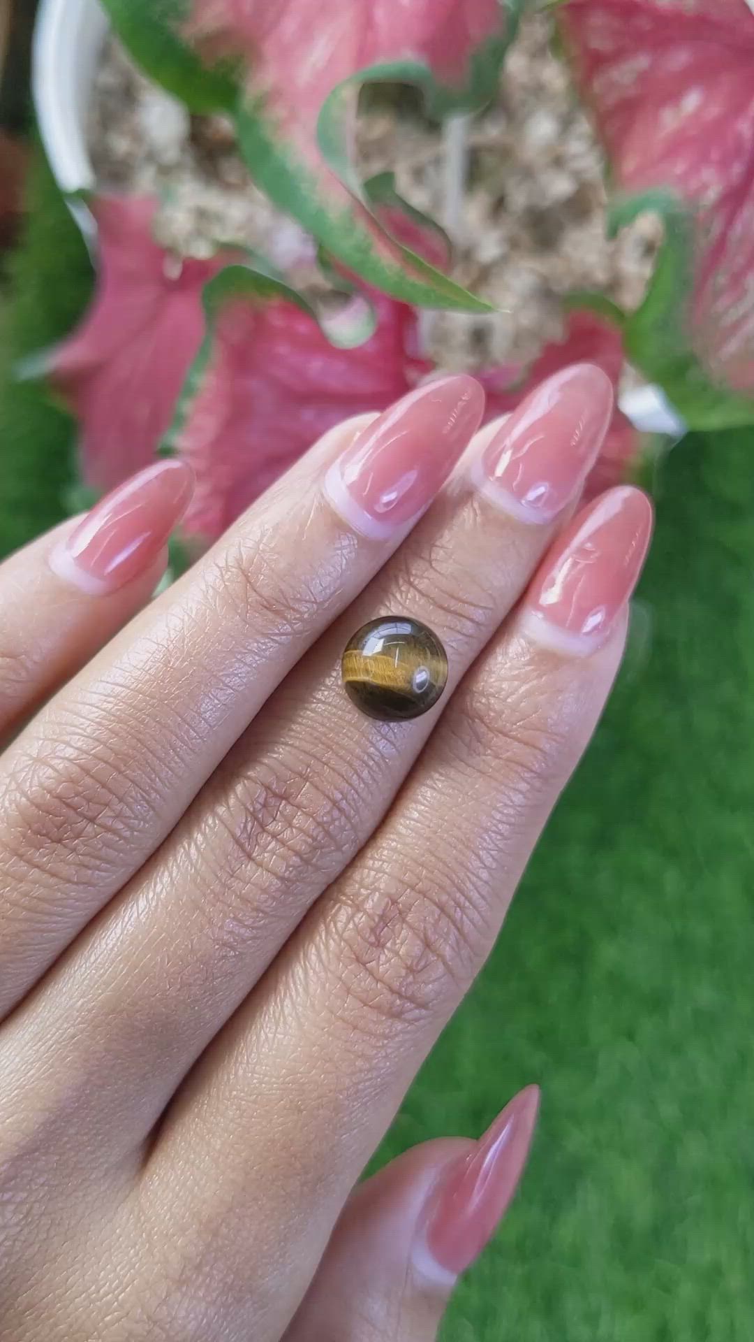 4.27 Ct. Cabochon Tiger's Eye from Ceylon (Sri Lanka) Size Video