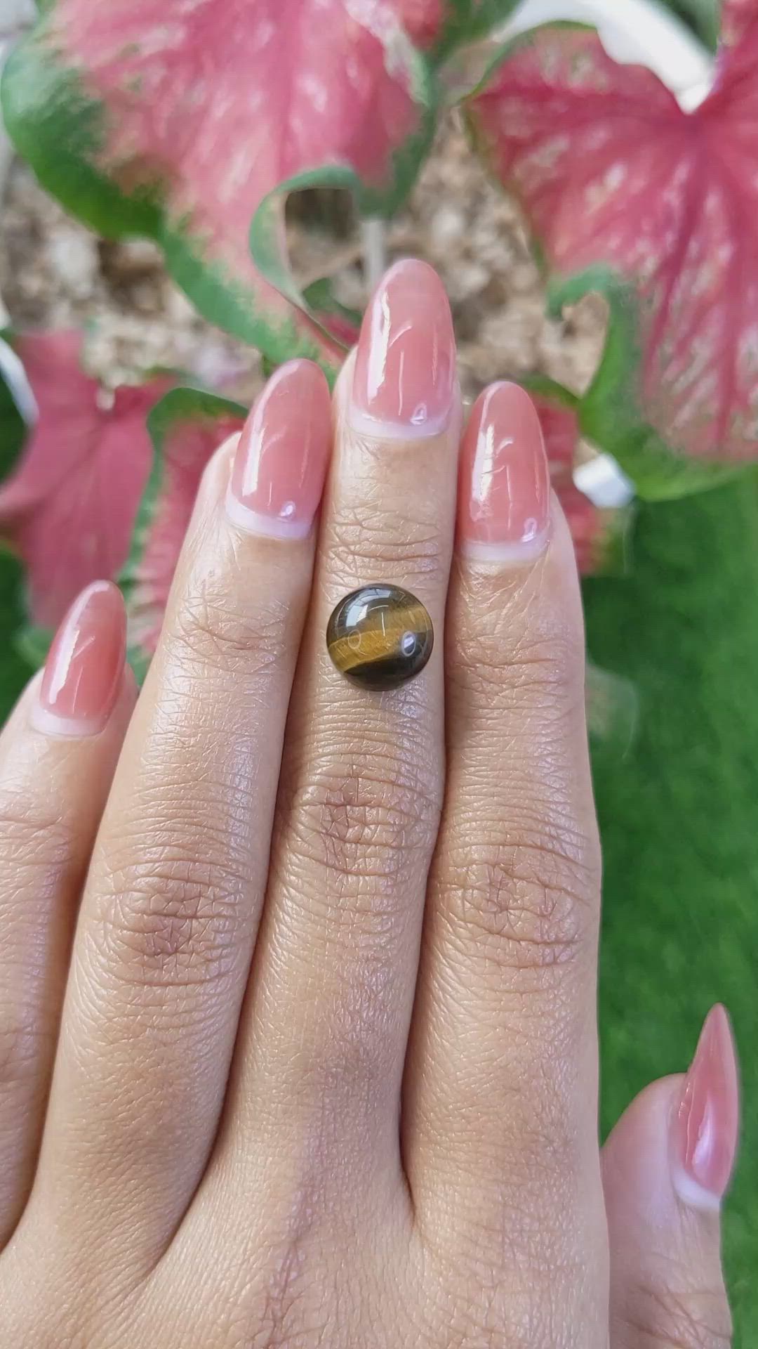 4.27 Ct. Cabochon Tiger's Eye from Ceylon (Sri Lanka) Size Video