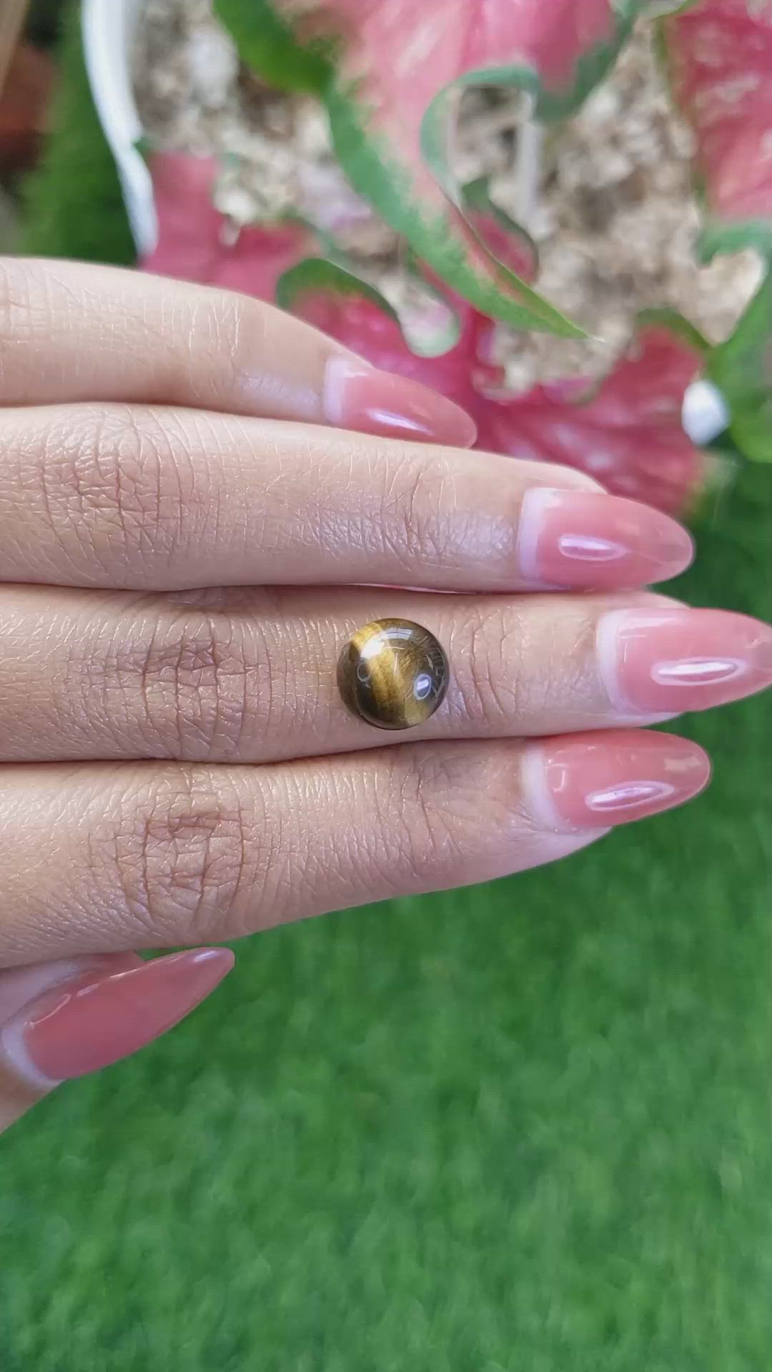 4.27 Ct. Cabochon Tiger's Eye from Ceylon (Sri Lanka) Size Video
