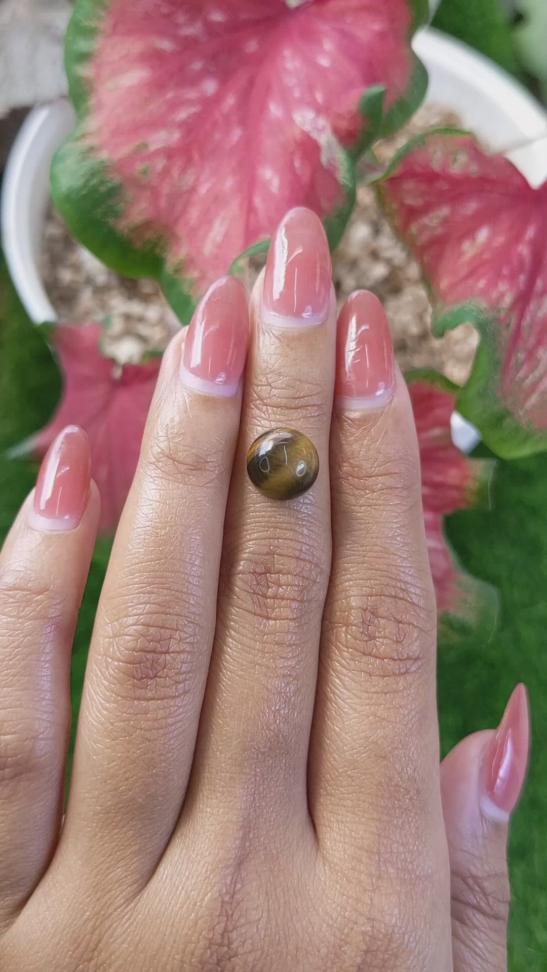 4.47 Ct. Cabochon Tiger's Eye from Ceylon (Sri Lanka) Size Video