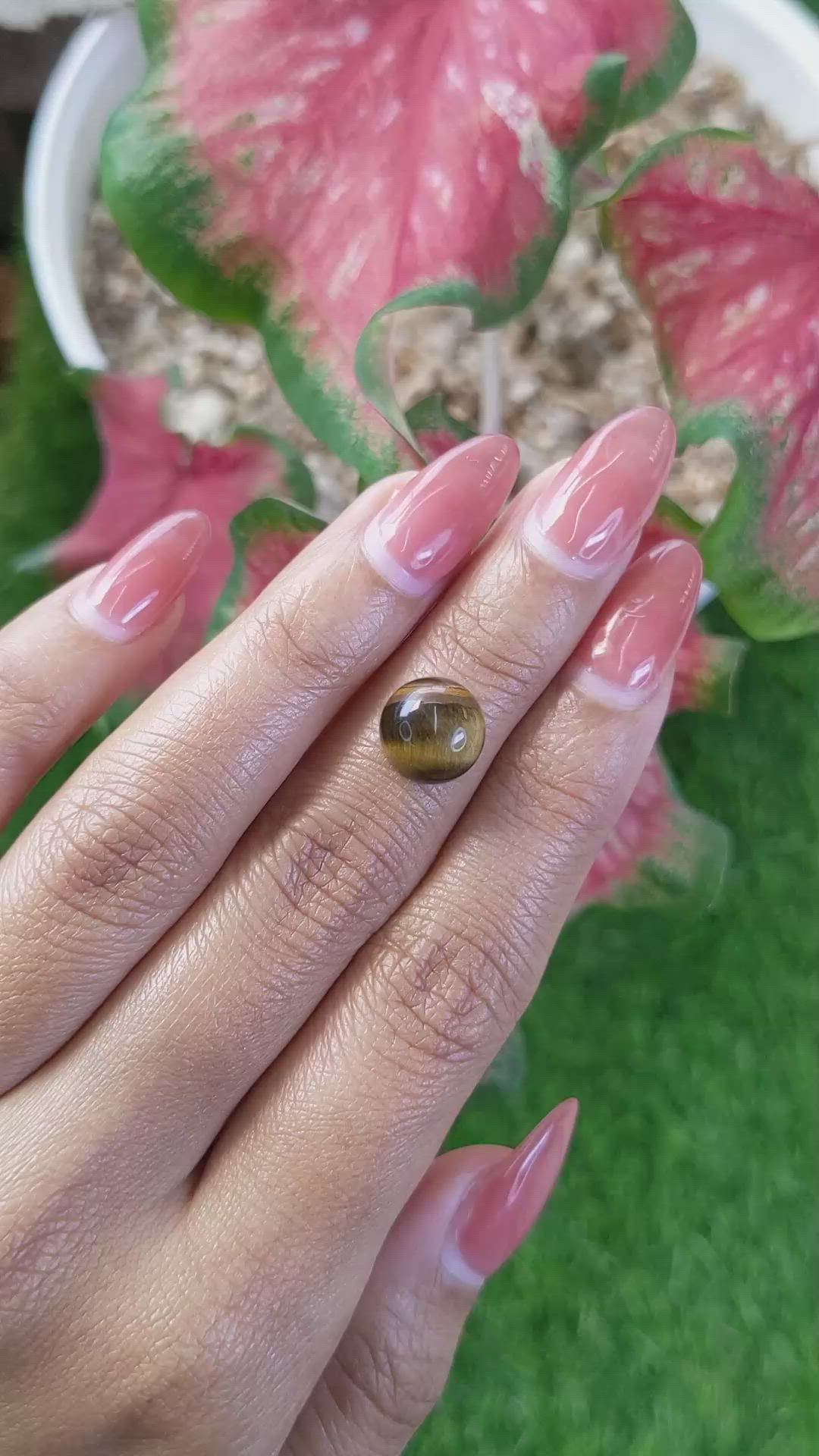 4.47 Ct. Cabochon Tiger's Eye from Ceylon (Sri Lanka) Size Video