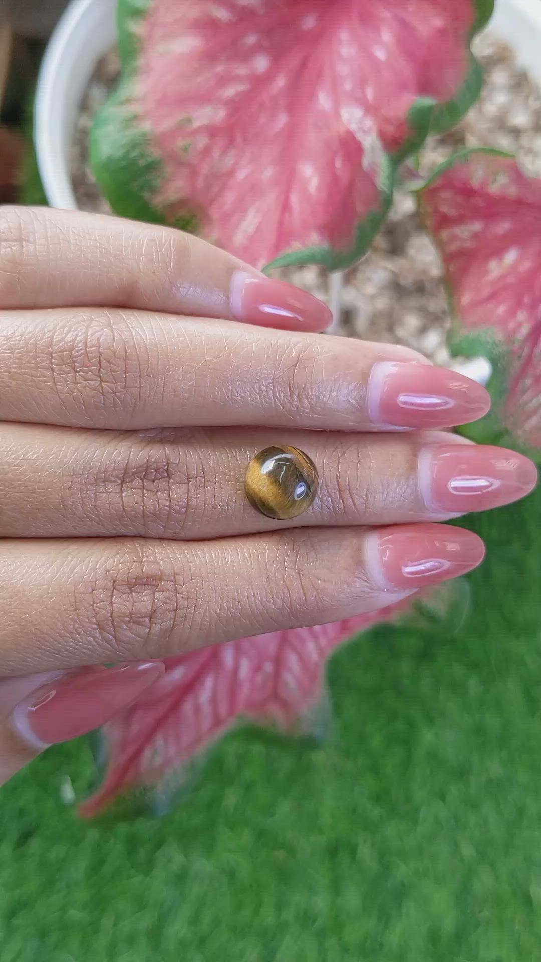 4.47 Ct. Cabochon Tiger's Eye from Ceylon (Sri Lanka) Size Video