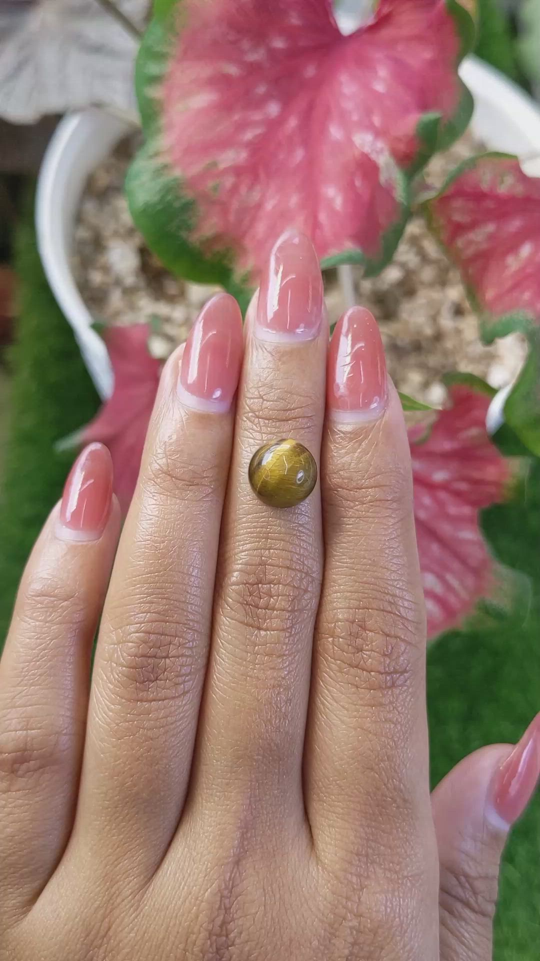4.31 Ct. Cabochon Tiger's Eye from Ceylon (Sri Lanka) Size Video