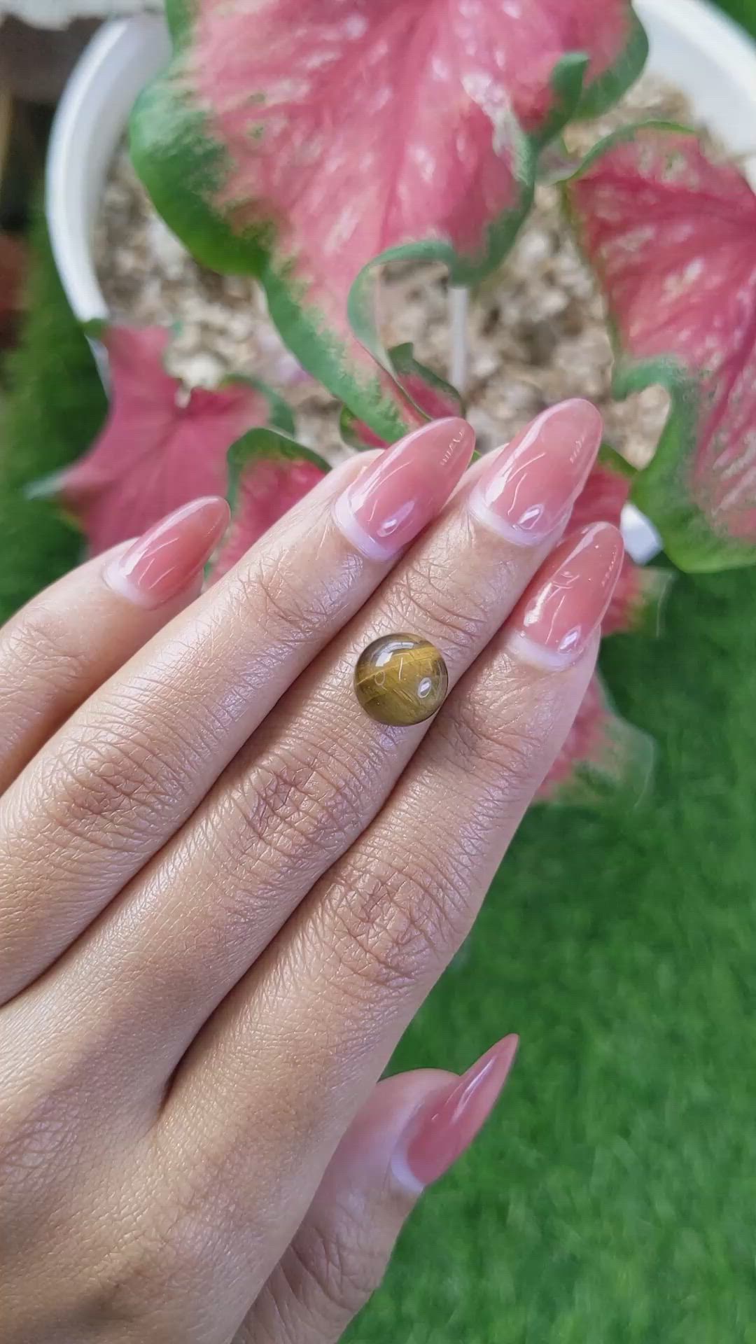 4.31 Ct. Cabochon Tiger's Eye from Ceylon (Sri Lanka) Size Video