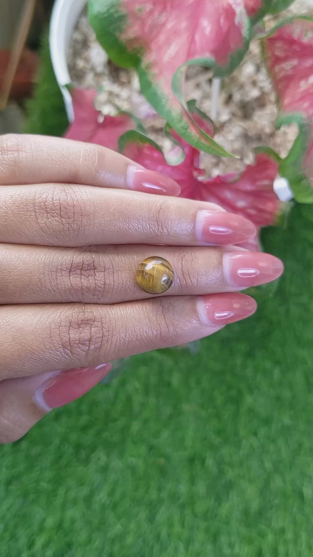 4.31 Ct. Cabochon Tiger's Eye from Ceylon (Sri Lanka) Size Video