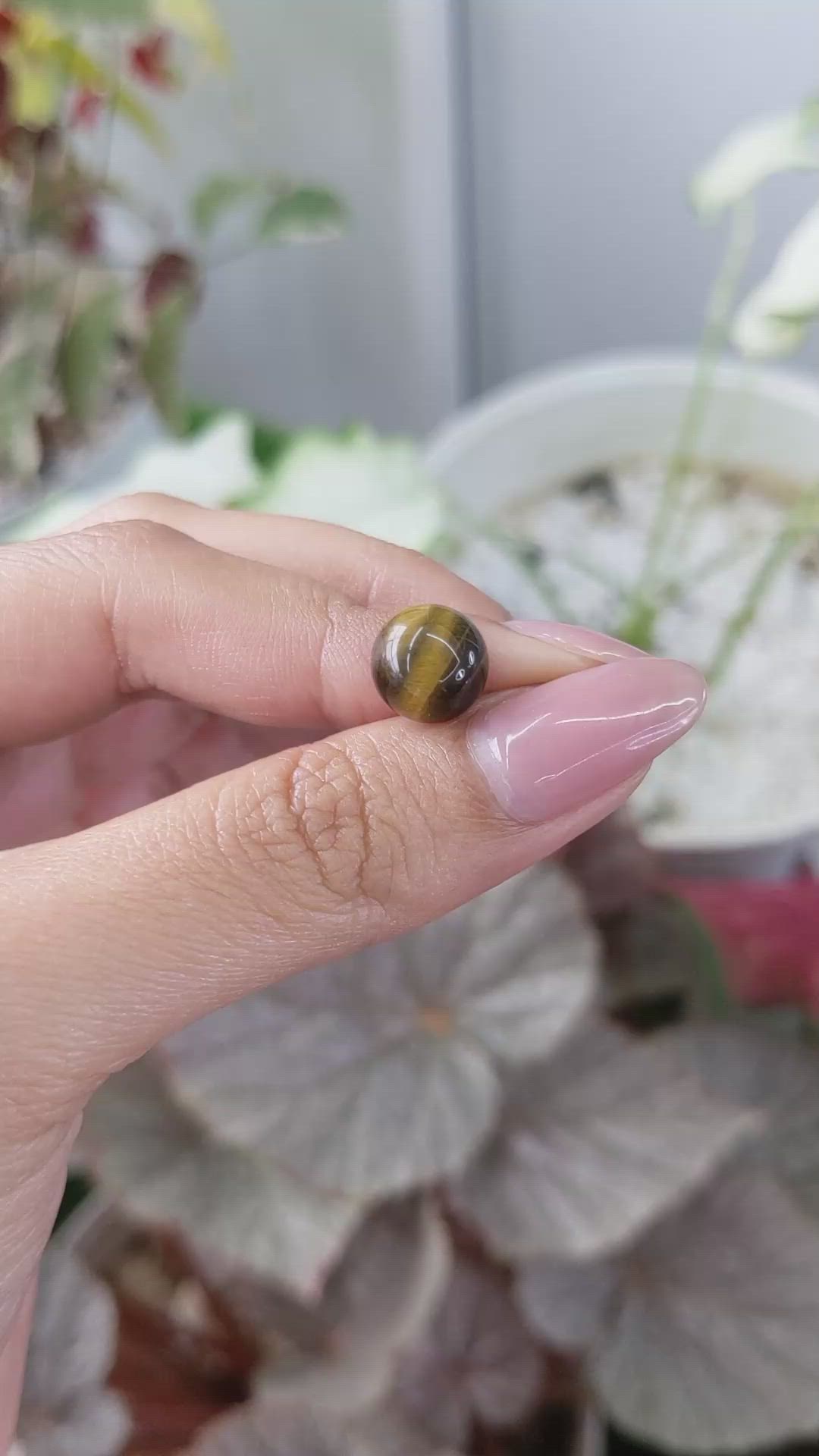 4.37 Ct. Cabochon Tiger's Eye from Ceylon (Sri Lanka) Size Video