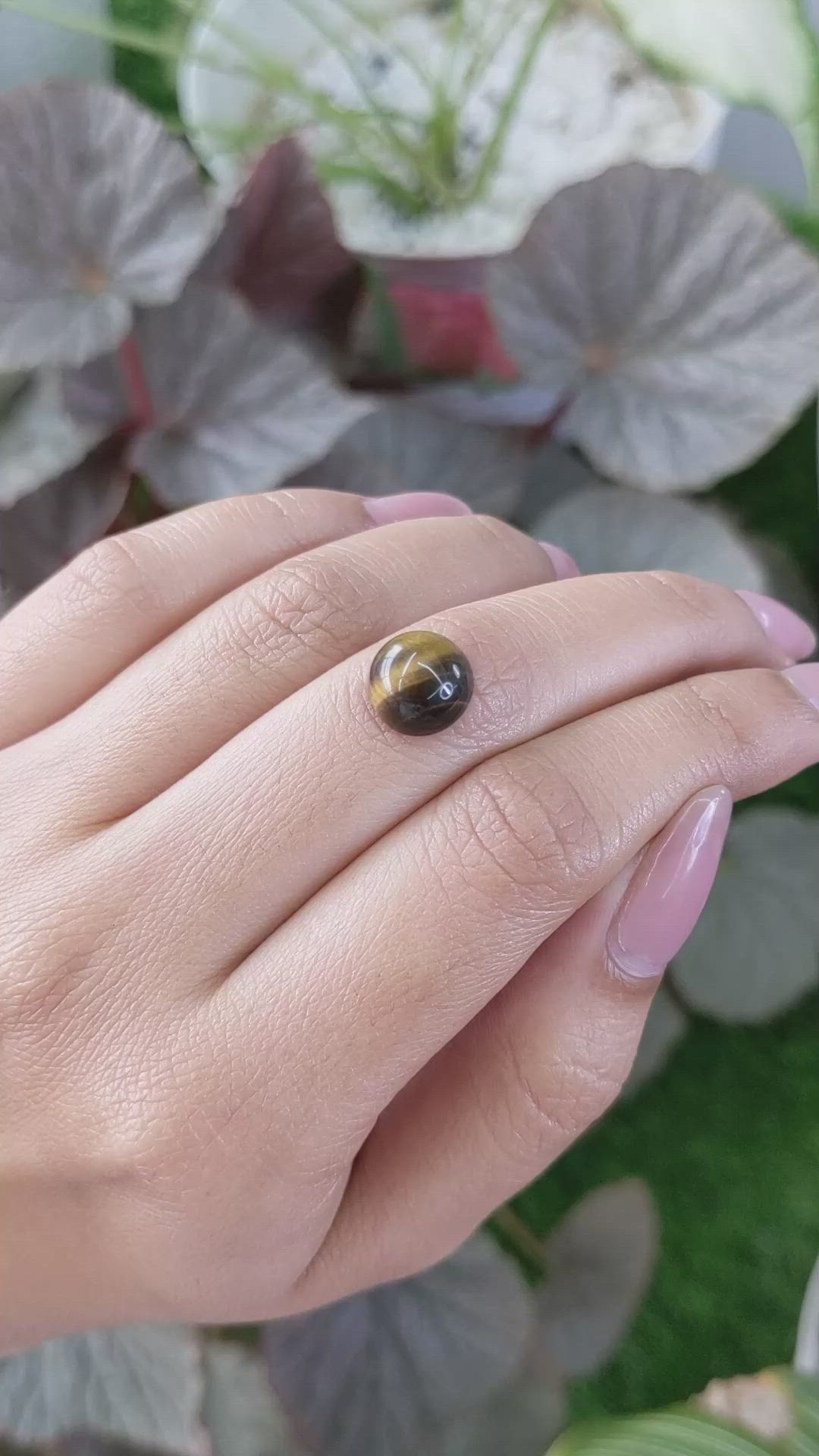 4.37 Ct. Cabochon Tiger's Eye from Ceylon (Sri Lanka) Size Video