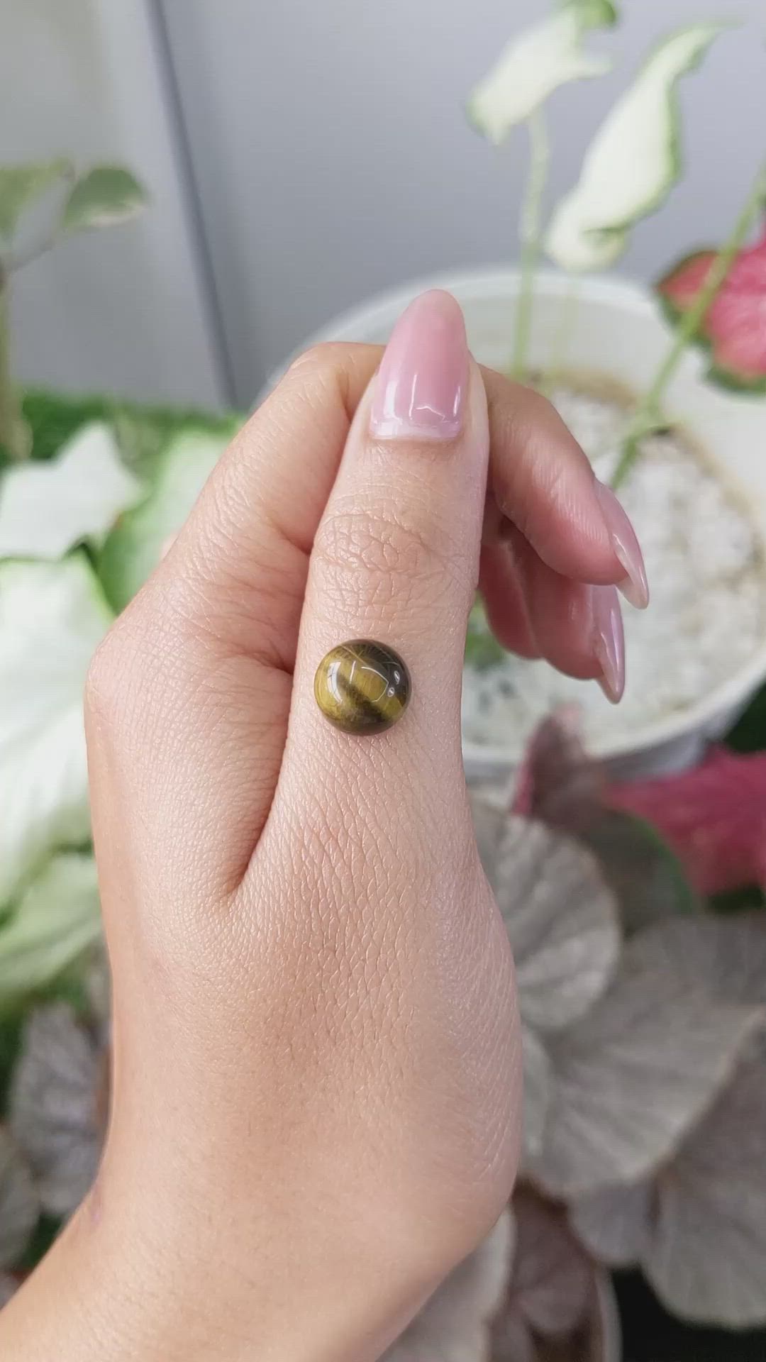 4.37 Ct. Cabochon Tiger's Eye from Ceylon (Sri Lanka) Size Video