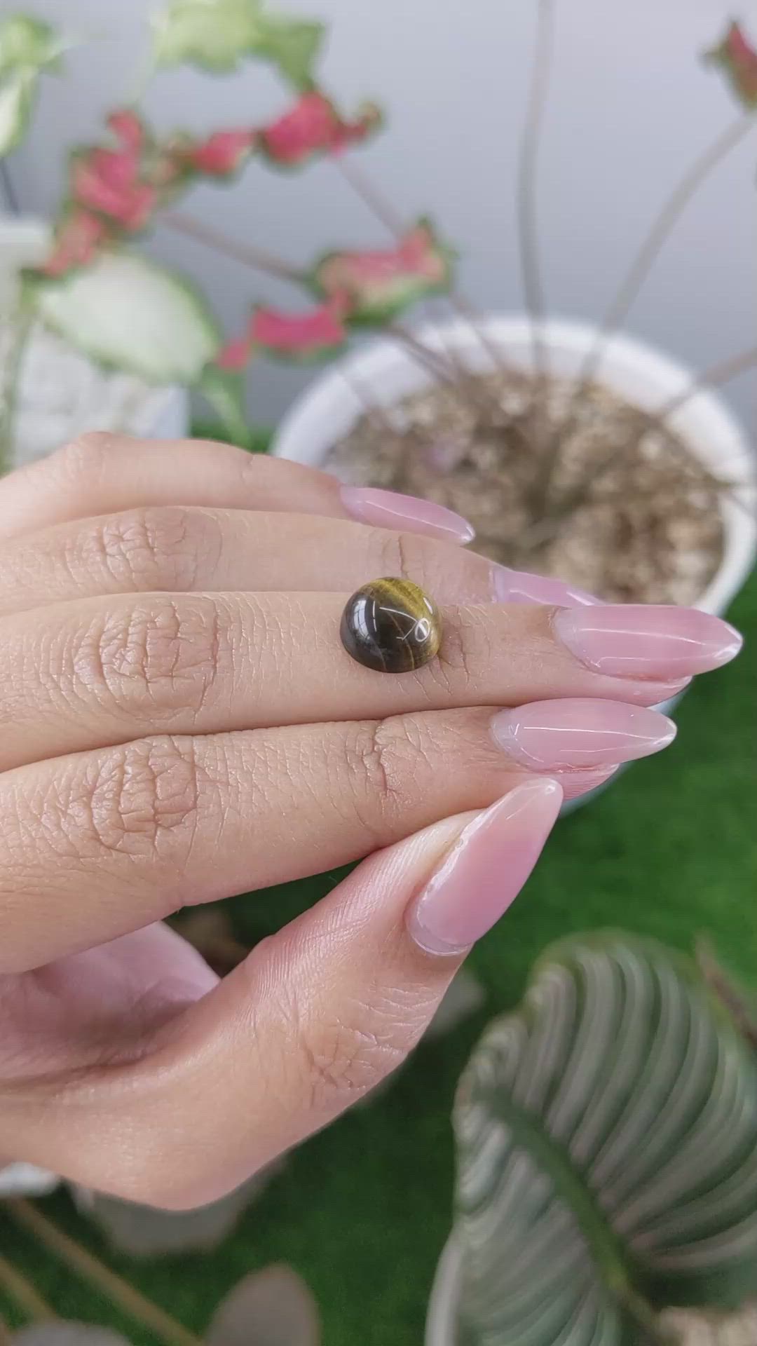4.37 Ct. Cabochon Tiger's Eye from Ceylon (Sri Lanka) Size Video