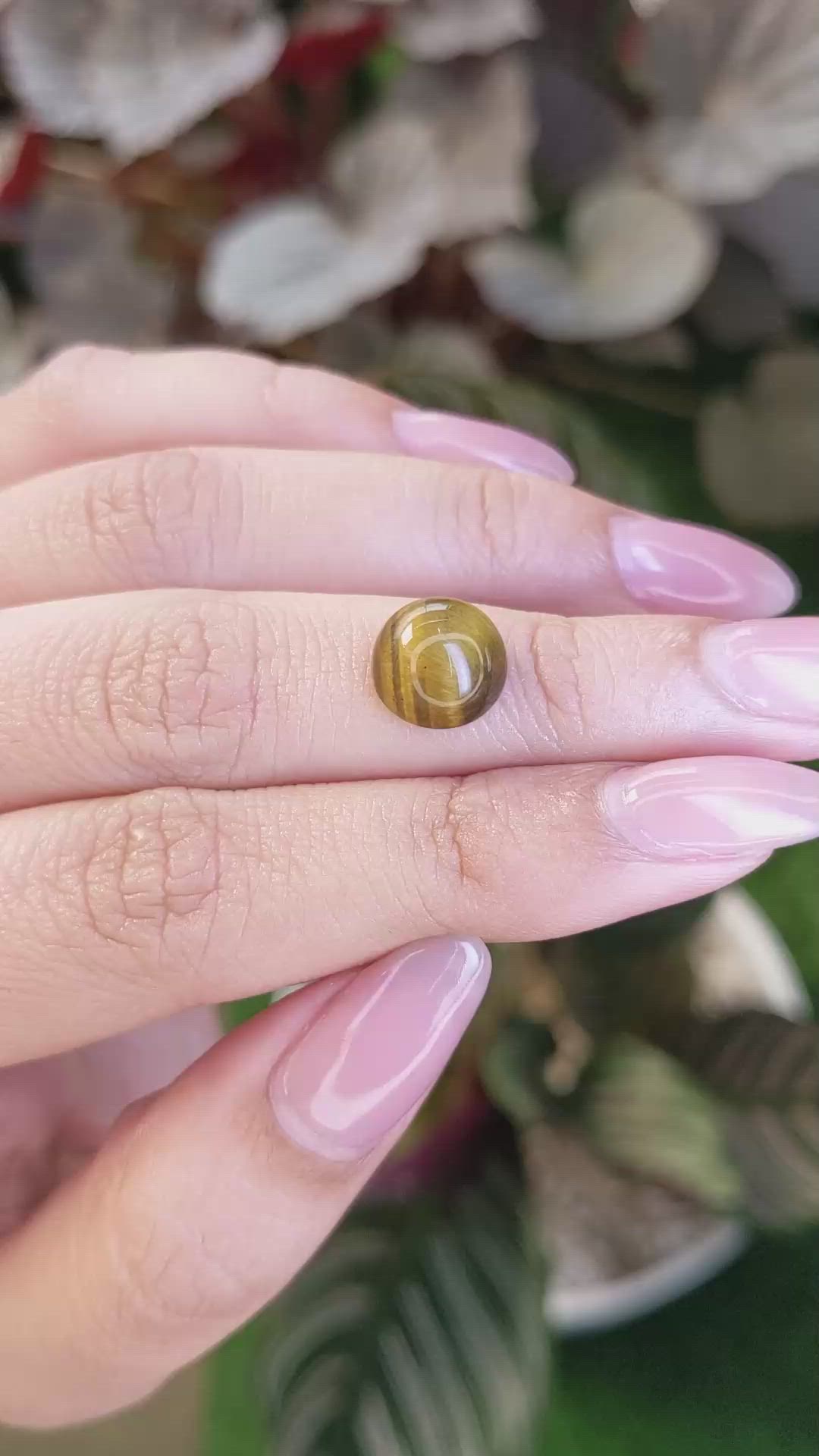 4.22 Ct. Cabochon Tiger's Eye from Ceylon (Sri Lanka) Size Video