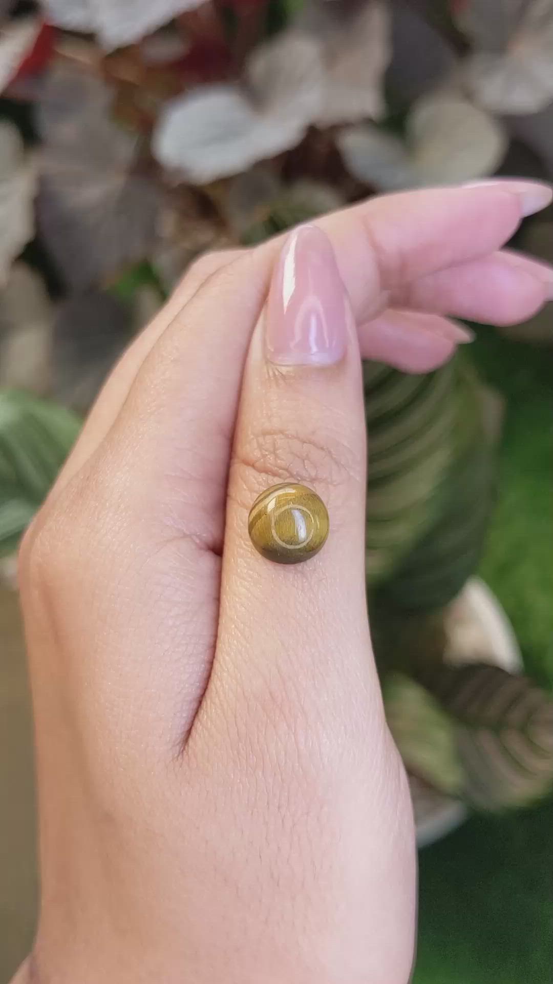 4.22 Ct. Cabochon Tiger's Eye from Ceylon (Sri Lanka) Size Video