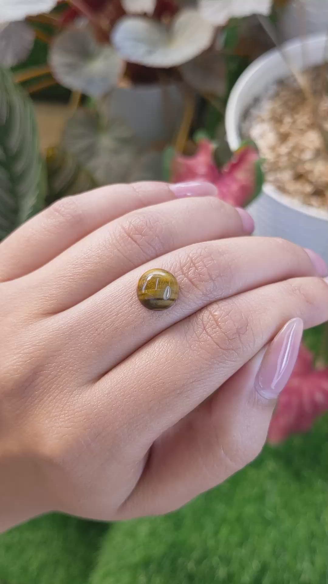 4.22 Ct. Cabochon Tiger's Eye from Ceylon (Sri Lanka) Size Video