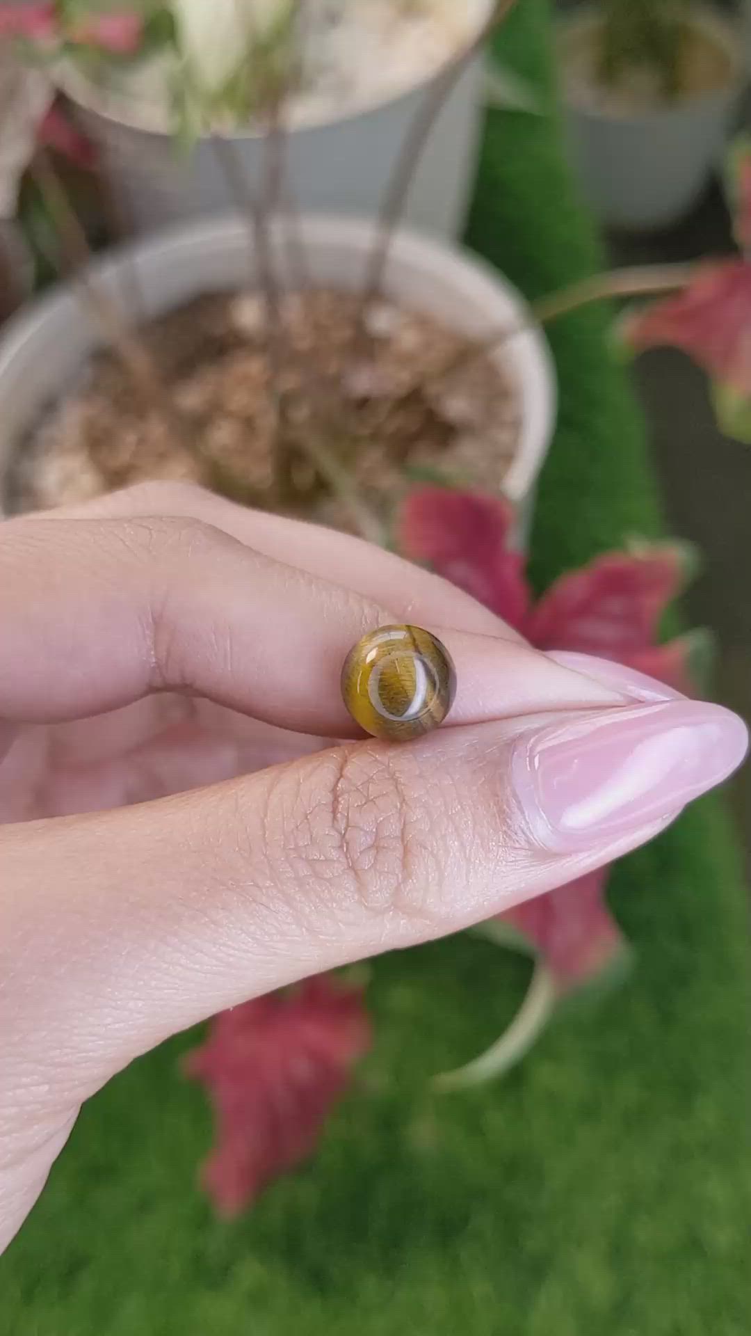 4.22 Ct. Cabochon Tiger's Eye from Ceylon (Sri Lanka) Size Video