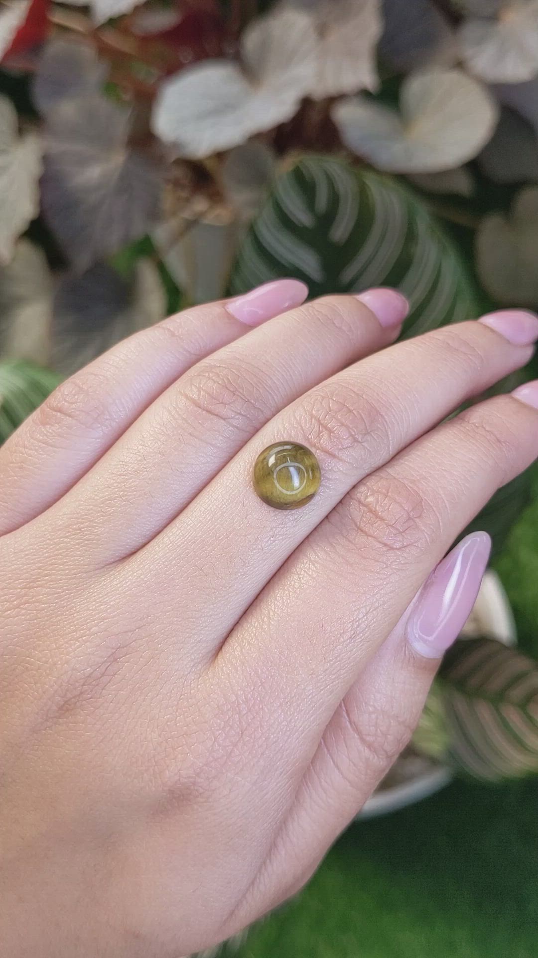 4.21 Ct. Cabochon Tiger's Eye from Ceylon (Sri Lanka) Size Video