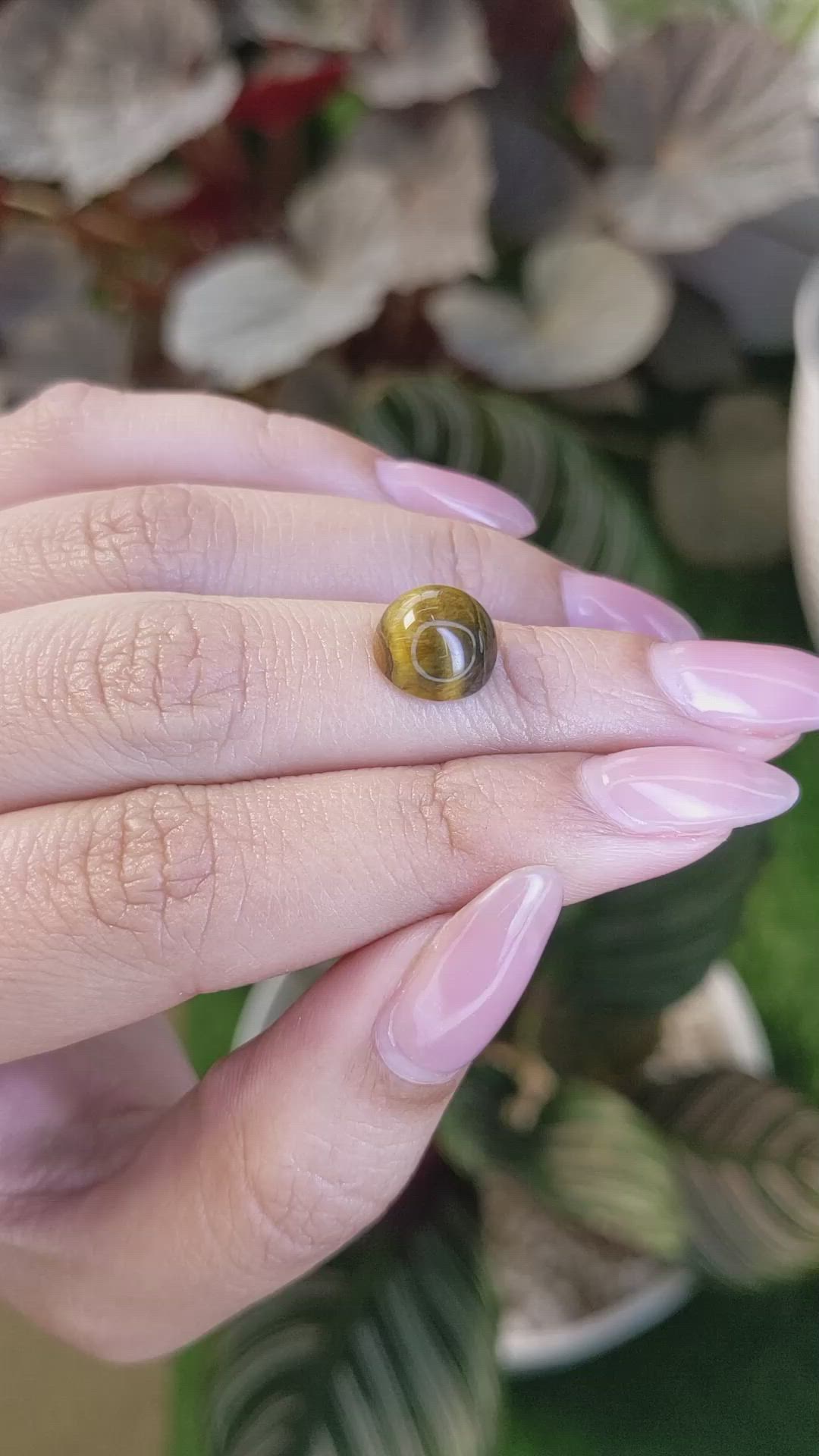 4.21 Ct. Cabochon Tiger's Eye from Ceylon (Sri Lanka) Size Video