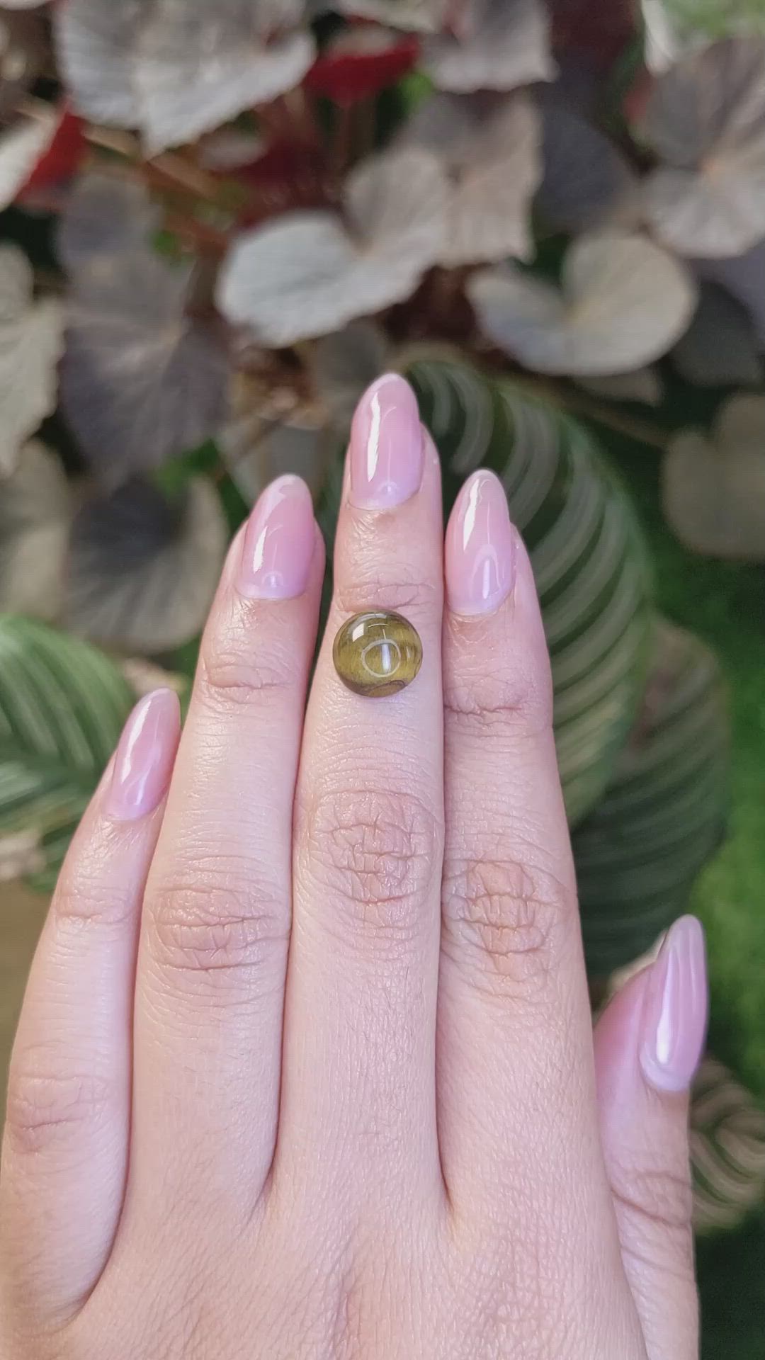 4.21 Ct. Cabochon Tiger's Eye from Ceylon (Sri Lanka) Size Video
