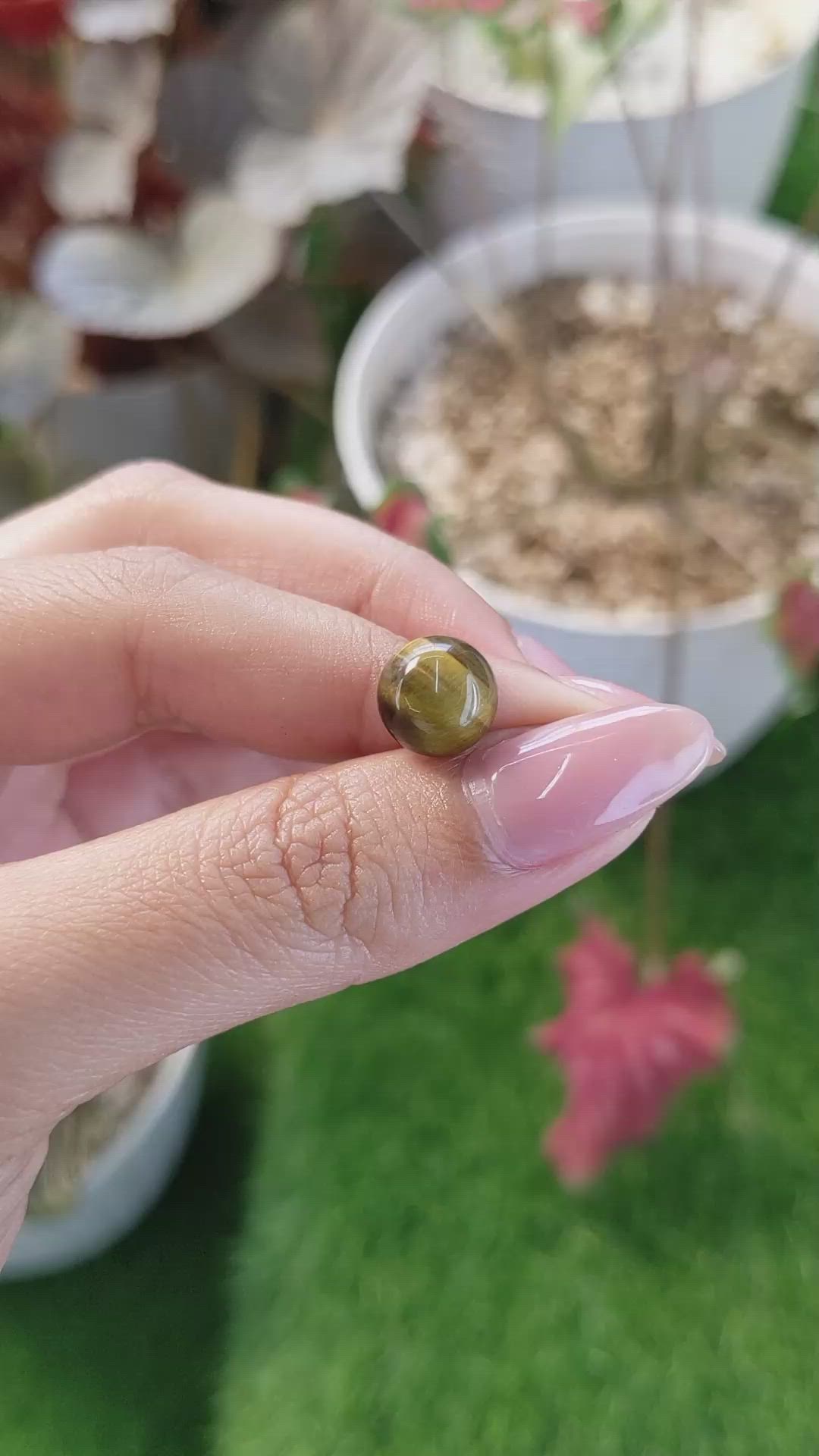 4.26 Ct. Cabochon Tiger's Eye from Ceylon (Sri Lanka) Size Video