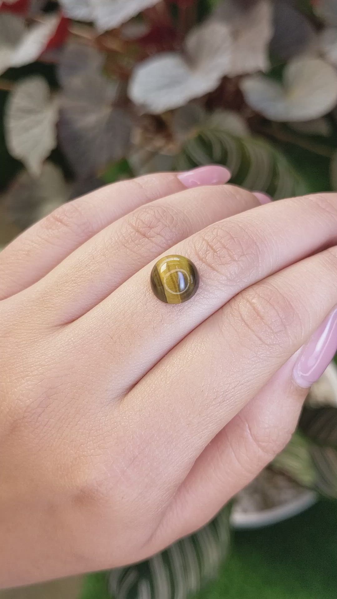 4.26 Ct. Cabochon Tiger's Eye from Ceylon (Sri Lanka) Size Video