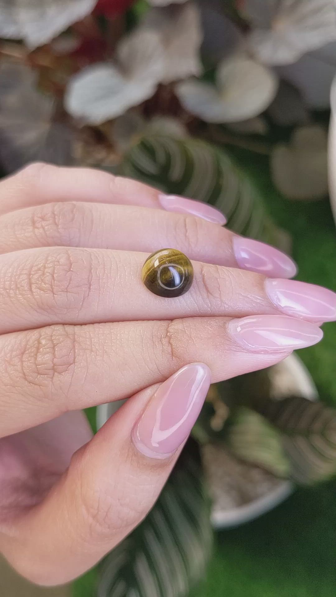 4.26 Ct. Cabochon Tiger's Eye from Ceylon (Sri Lanka) Size Video