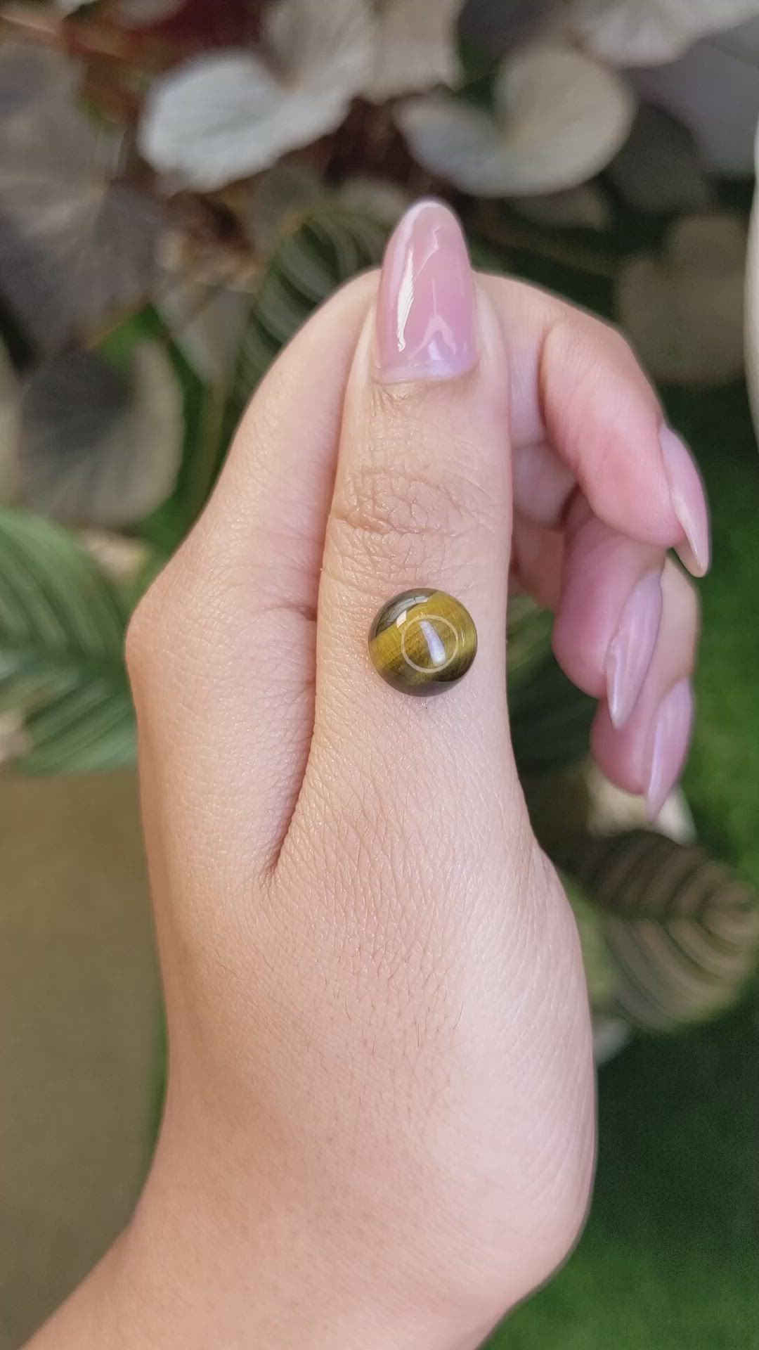 4.26 Ct. Cabochon Tiger's Eye from Ceylon (Sri Lanka) Size Video