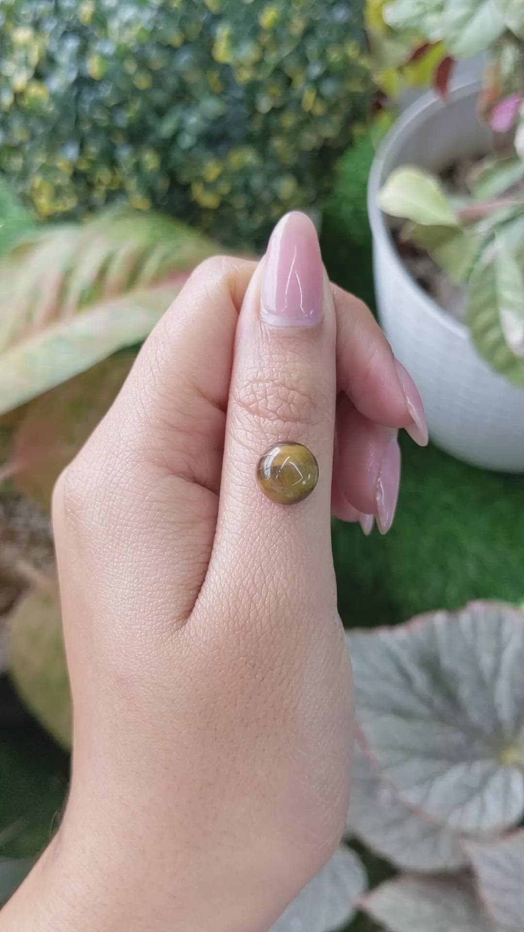 4.28 Ct. Cabochon Tiger's Eye from Ceylon (Sri Lanka) Size Video