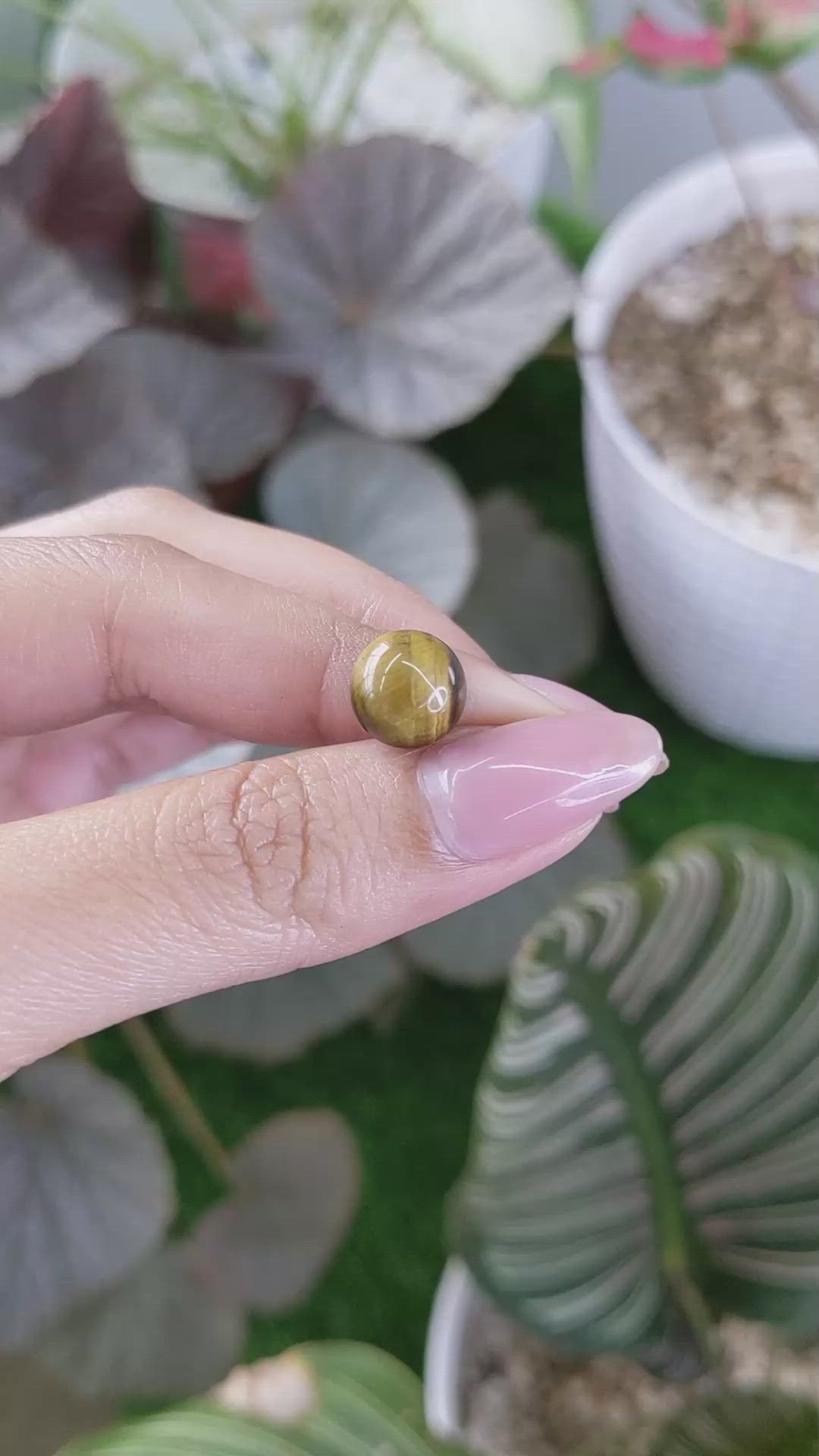 4.28 Ct. Cabochon Tiger's Eye from Ceylon (Sri Lanka) Size Video