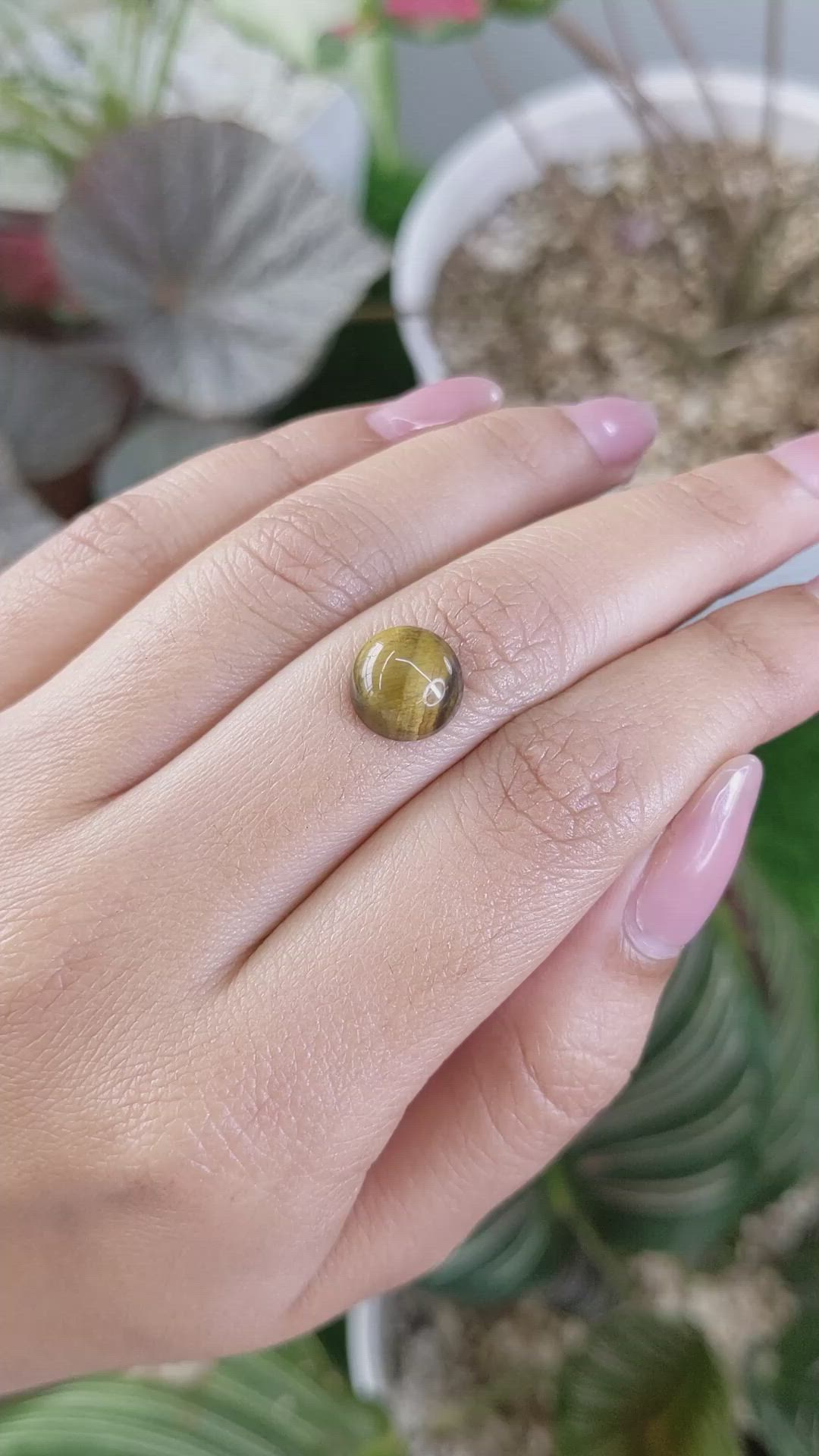 4.28 Ct. Cabochon Tiger's Eye from Ceylon (Sri Lanka) Size Video