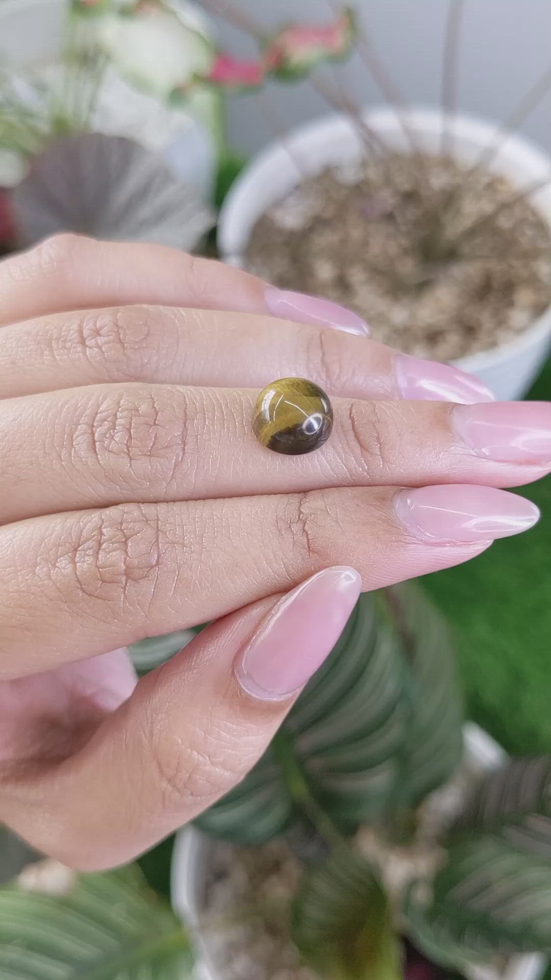 4.28 Ct. Cabochon Tiger's Eye from Ceylon (Sri Lanka) Size Video