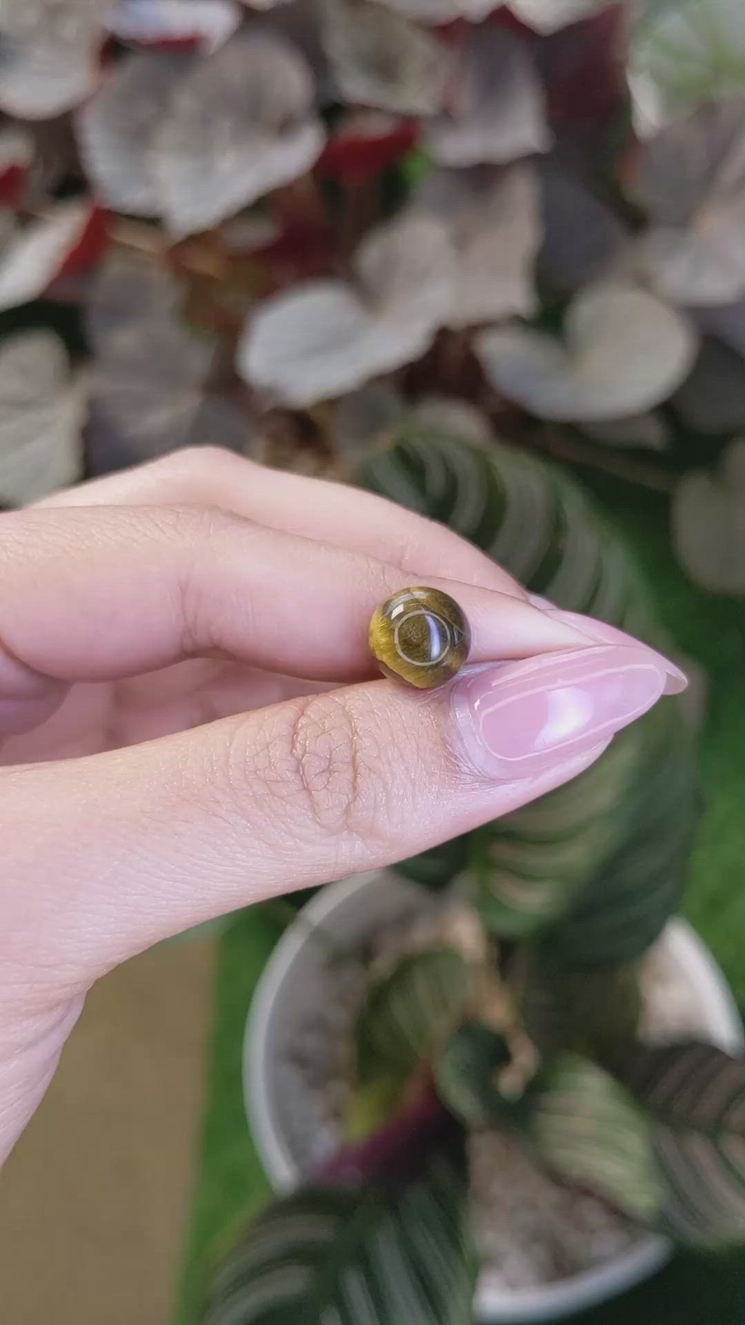 4.27 Ct. Cabochon Tiger's Eye from Ceylon (Sri Lanka) Size Video