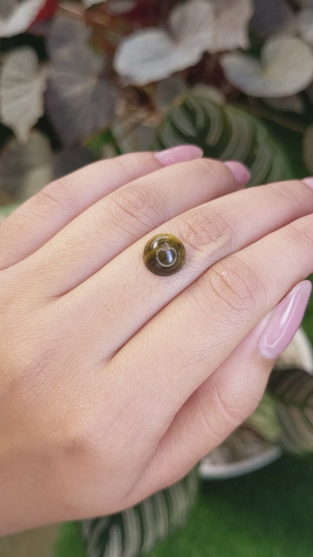 4.27 Ct. Cabochon Tiger's Eye from Ceylon (Sri Lanka) Size Video