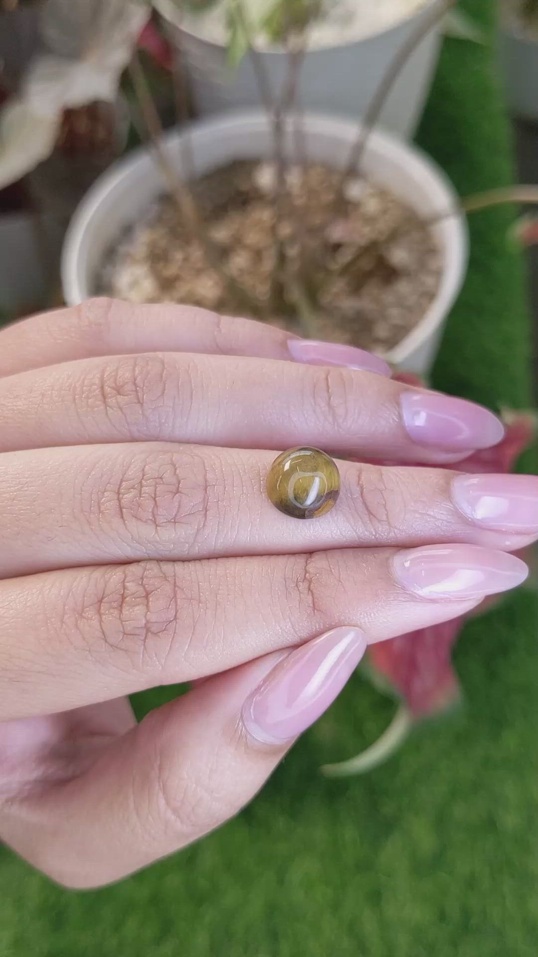 4.27 Ct. Cabochon Tiger's Eye from Ceylon (Sri Lanka) Size Video