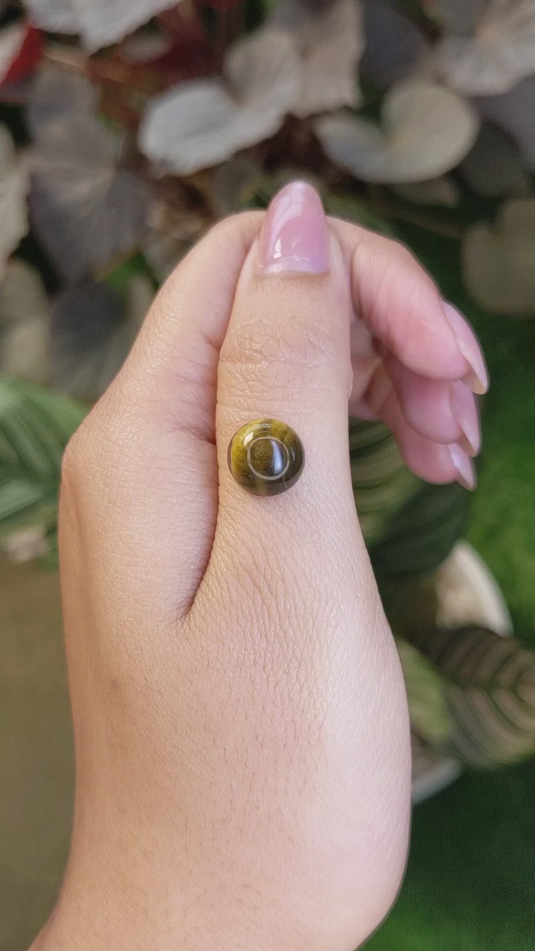 4.27 Ct. Cabochon Tiger's Eye from Ceylon (Sri Lanka) Size Video
