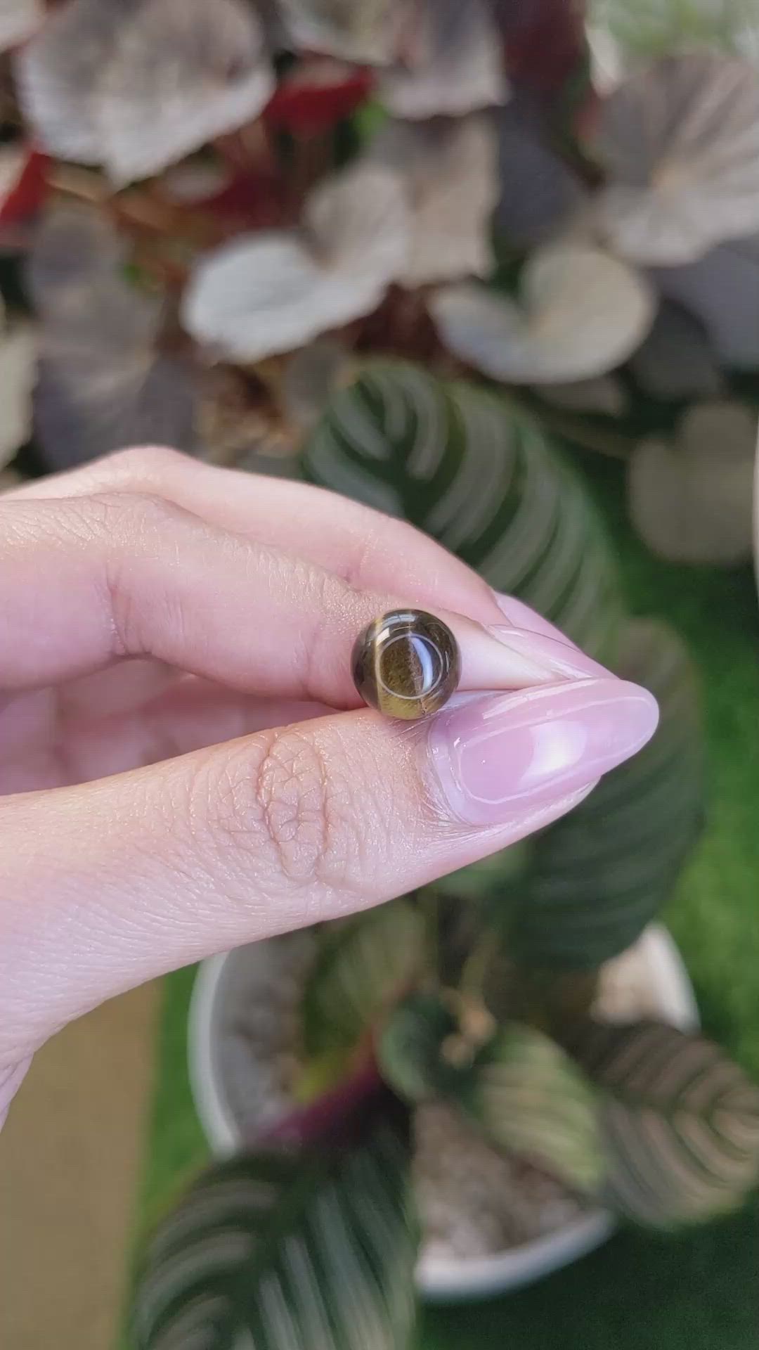 4.58 Ct. Cabochon Tiger's Eye from Ceylon (Sri Lanka) Size Video