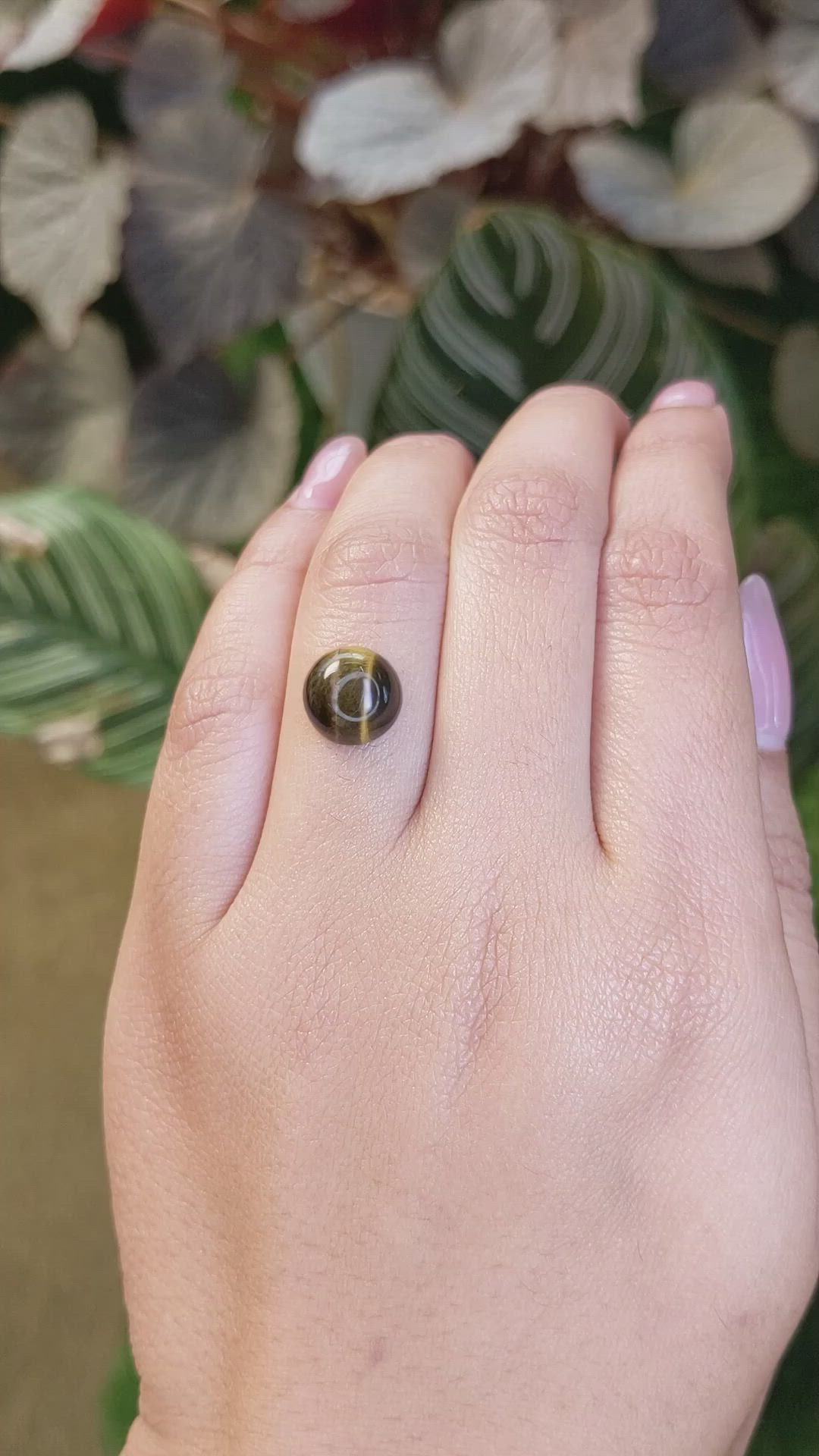 4.58 Ct. Cabochon Tiger's Eye from Ceylon (Sri Lanka) Size Video